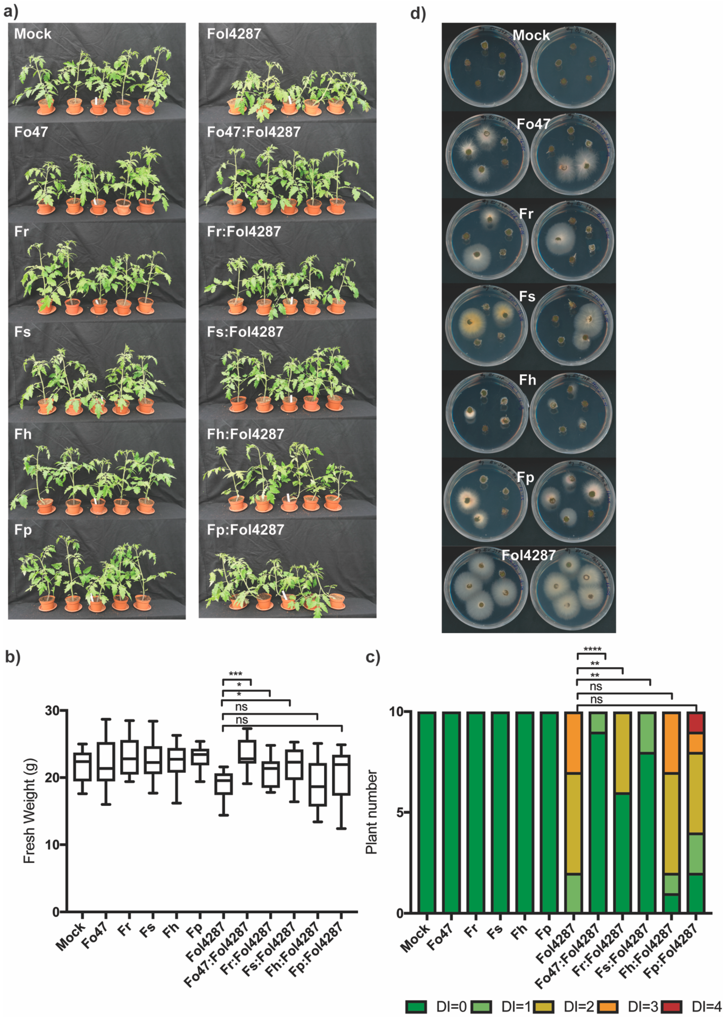 Microorganisms 08 00544 g002 Microorganisms 08 00544 g002
