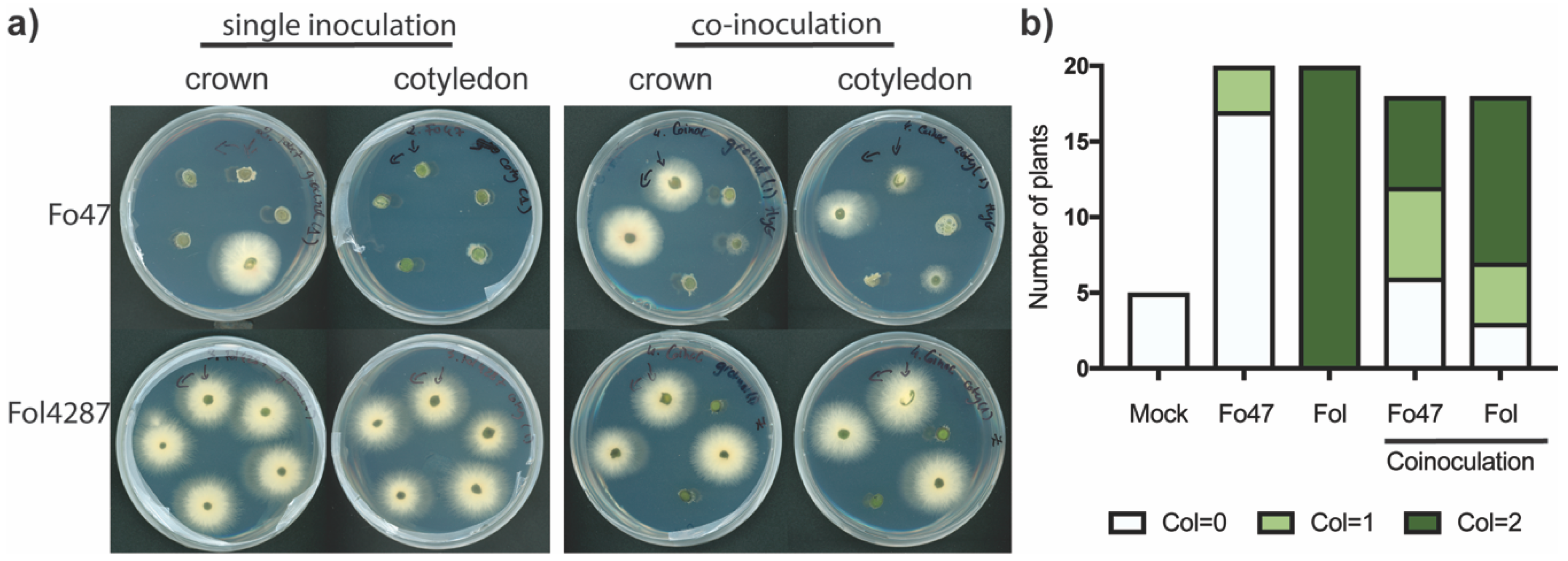 Microorganisms 08 00544 g003 Microorganisms 08 00544 g003