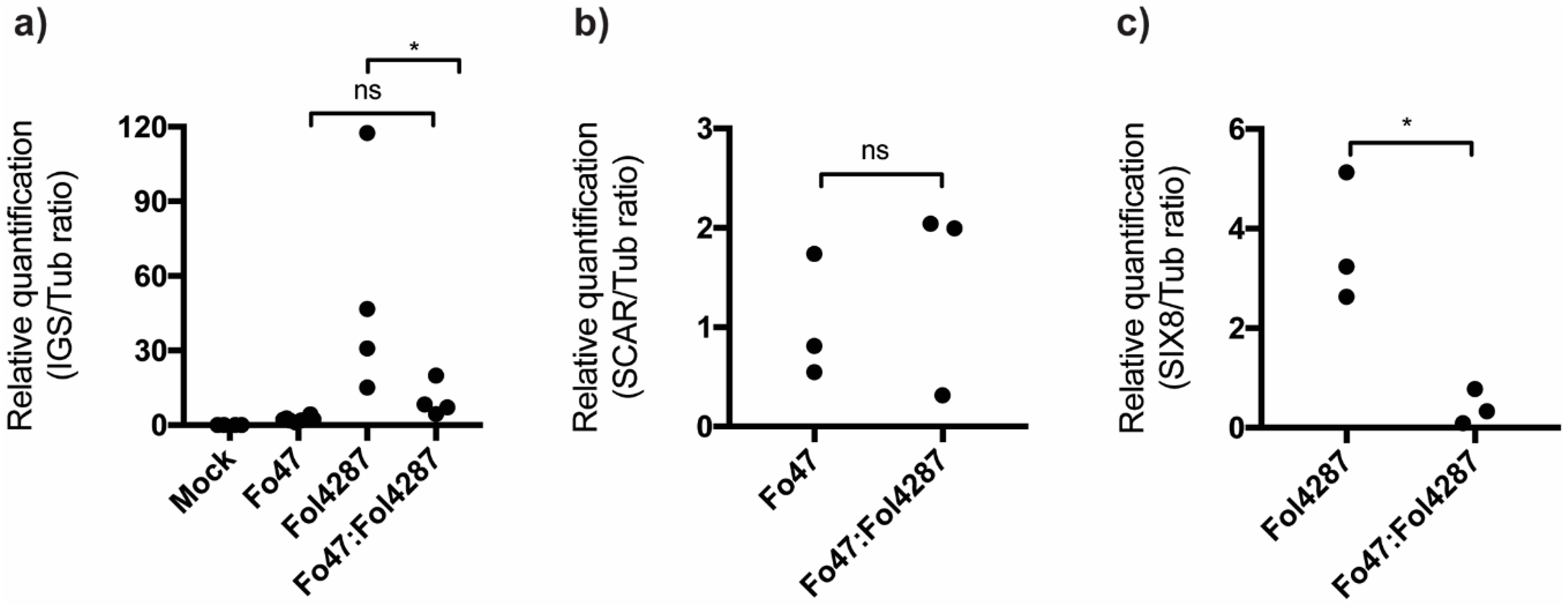 Microorganisms 08 00544 g004 Microorganisms 08 00544 g004