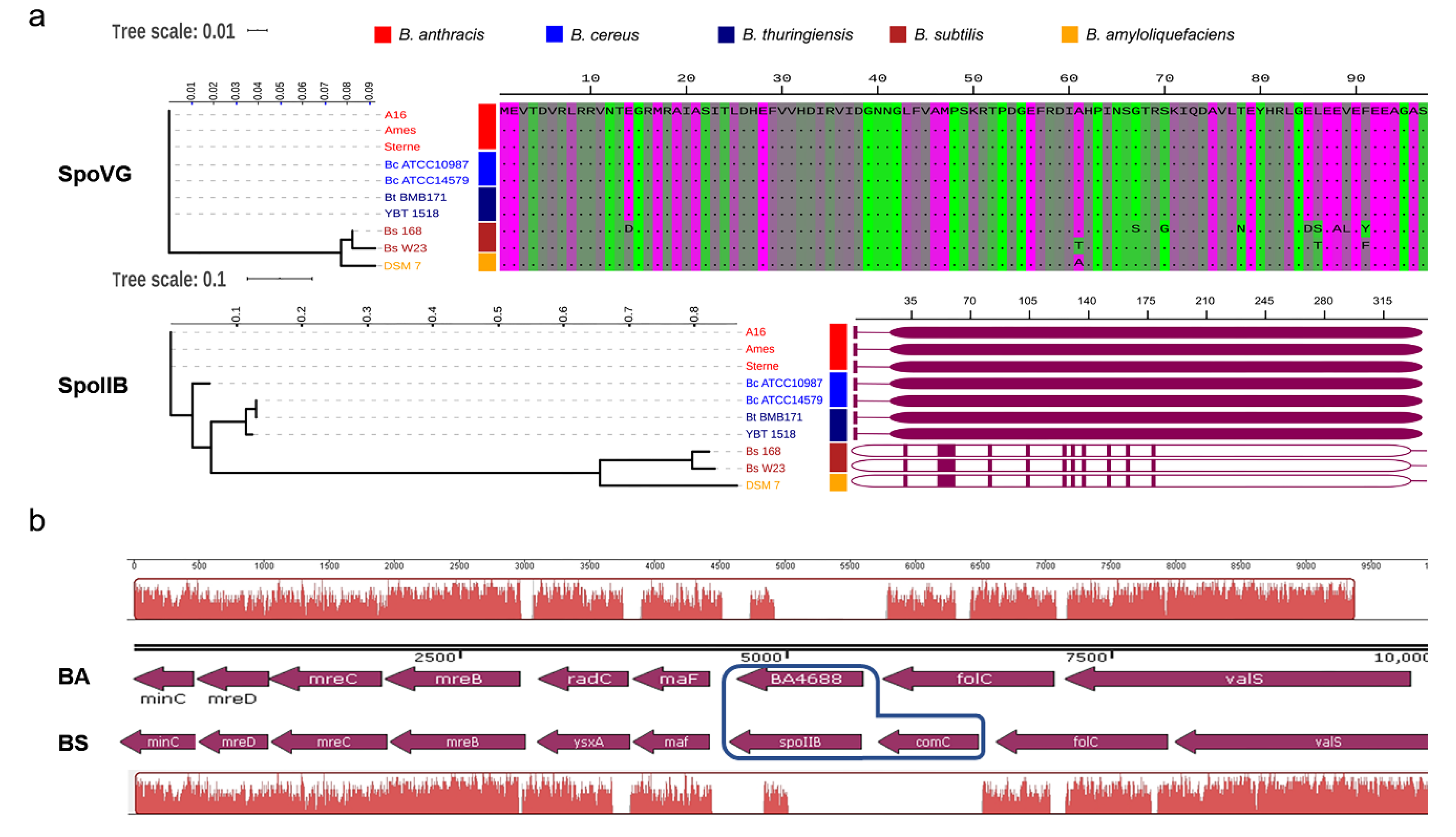 Microorganisms 08 00548 g004