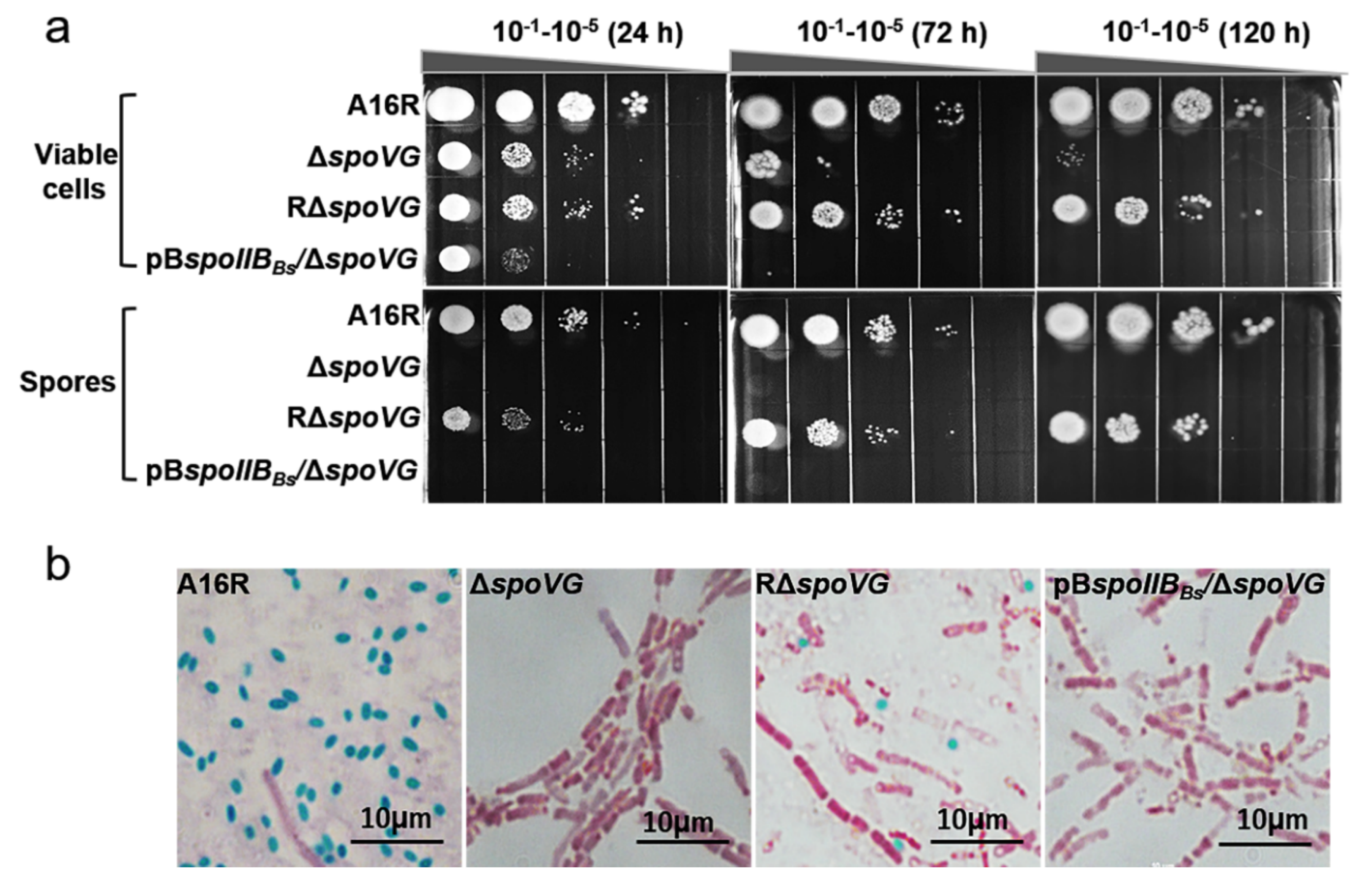Microorganisms 08 00548 g005