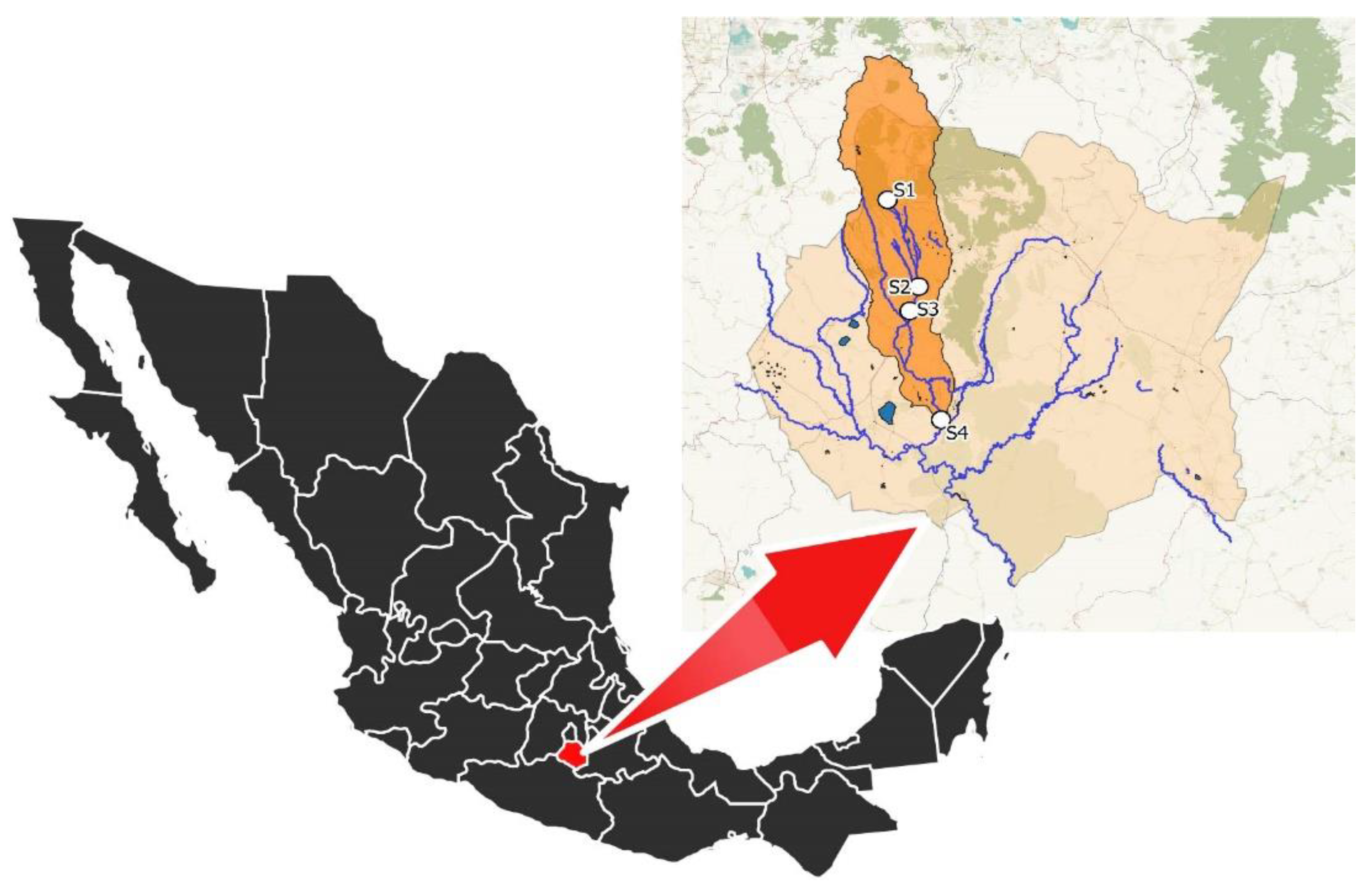 Microorganisms 08 00554 g001 Microorganisms 08 00554 g001