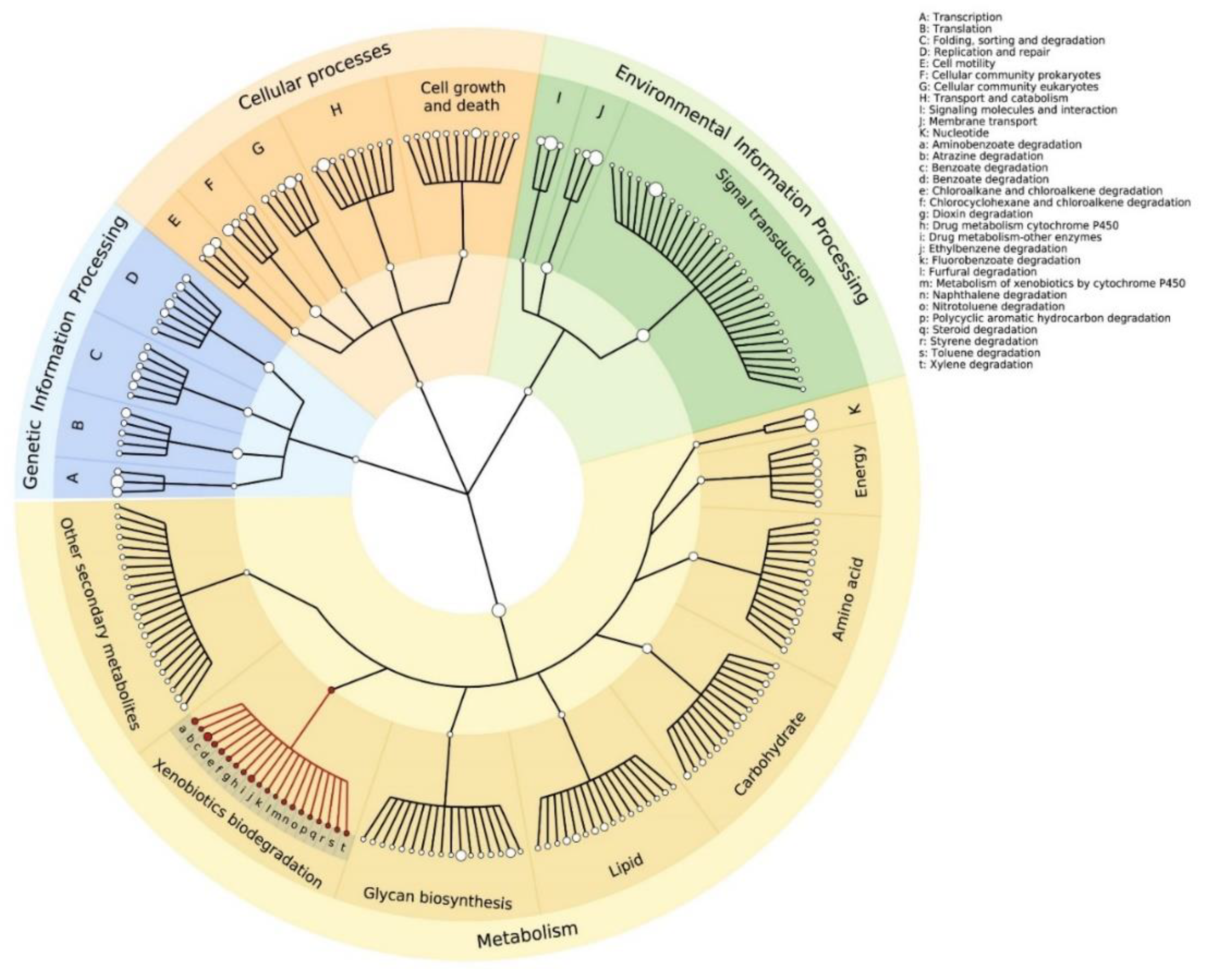 Microorganisms 08 00554 g003 Microorganisms 08 00554 g003