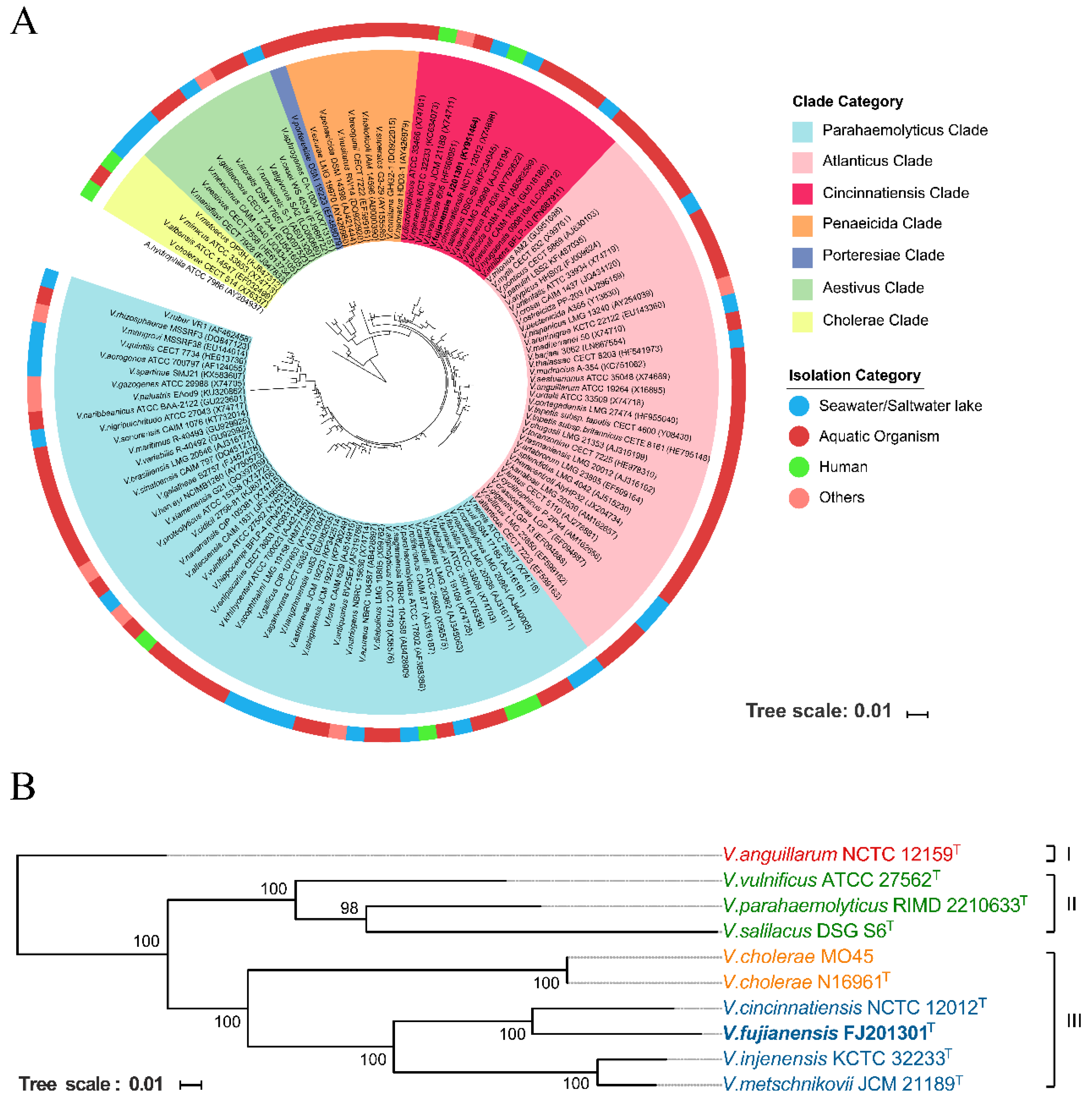 瀬戸 やま ジョグ ZXエボリューション SA16