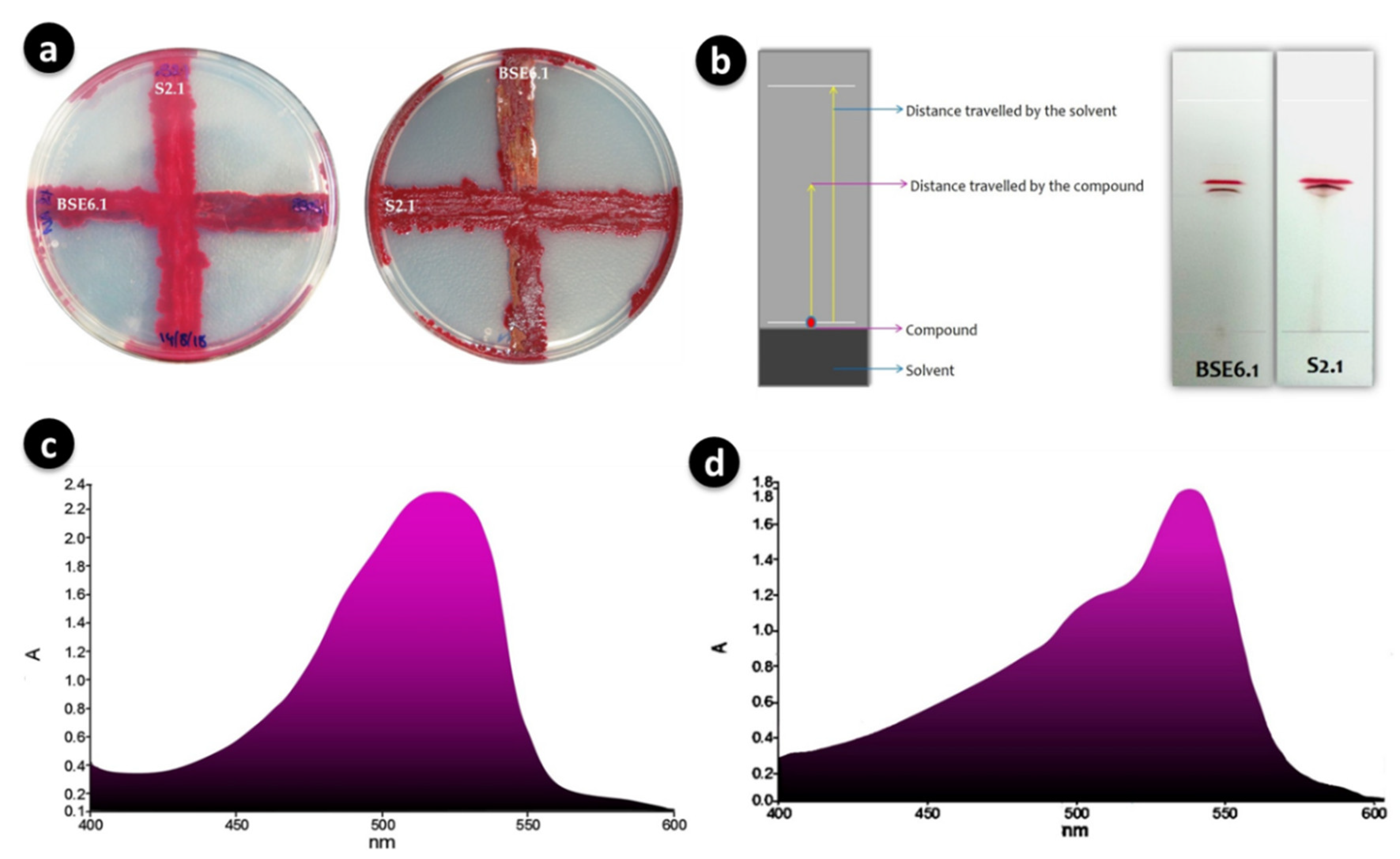 Microorganisms 08 00556 g004 Microorganisms 08 00556 g004