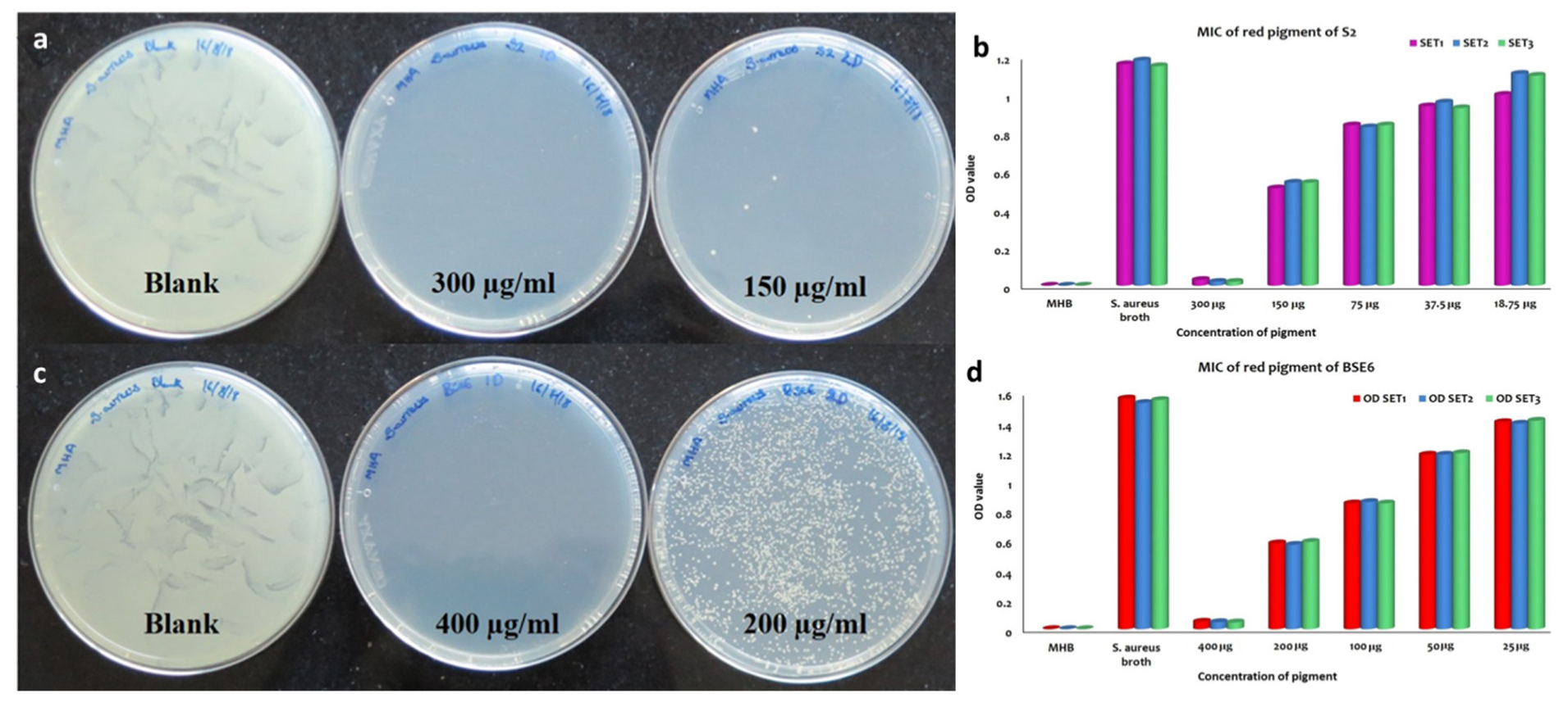Microorganisms 08 00556 g008 Microorganisms 08 00556 g008