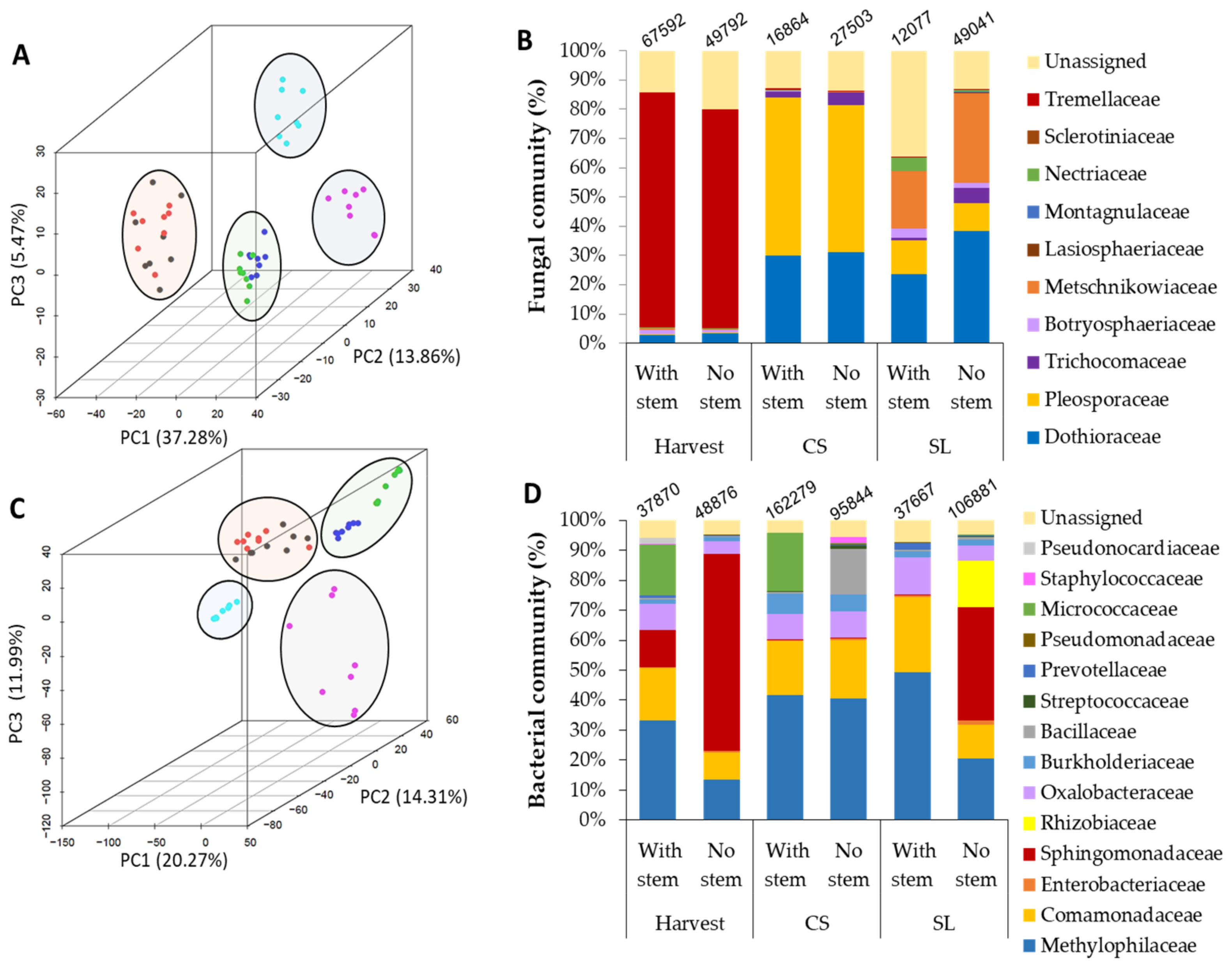 Microorganisms 08 00558 g002