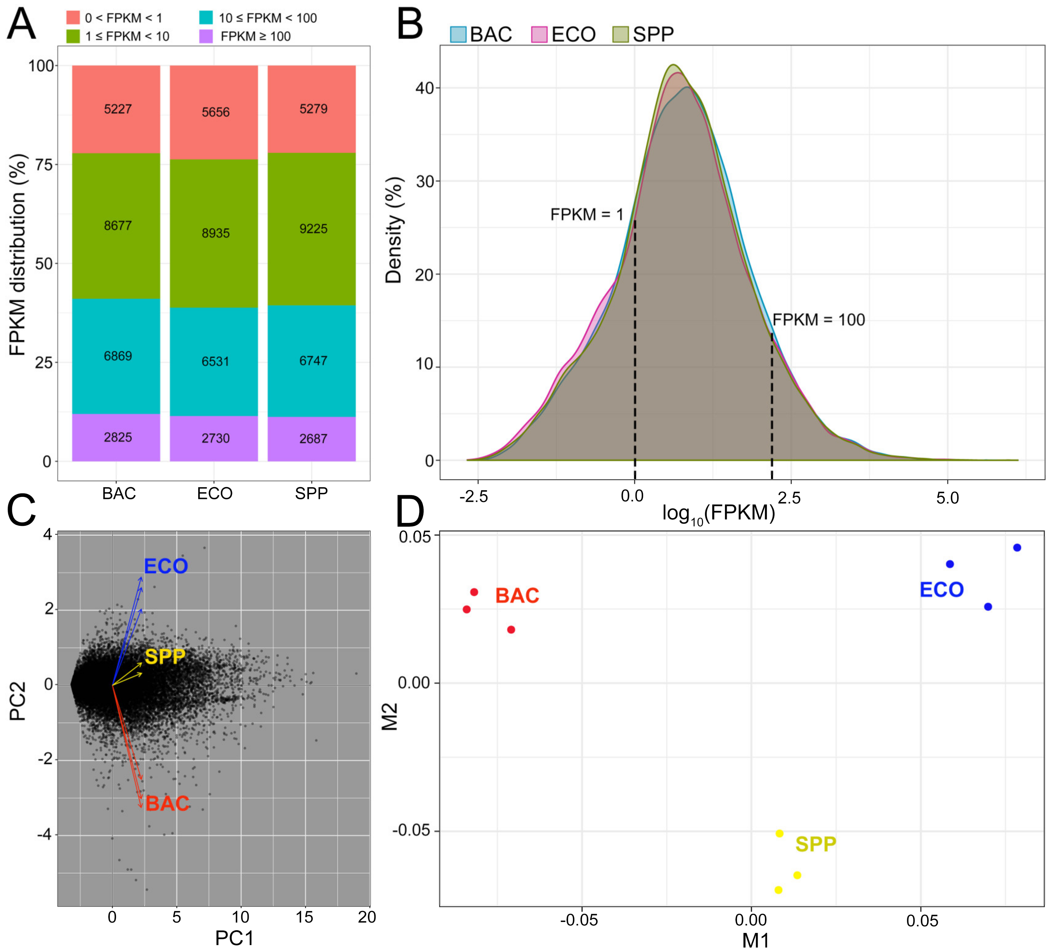 Microorganisms 08 00559 g002 Microorganisms 08 00559 g002