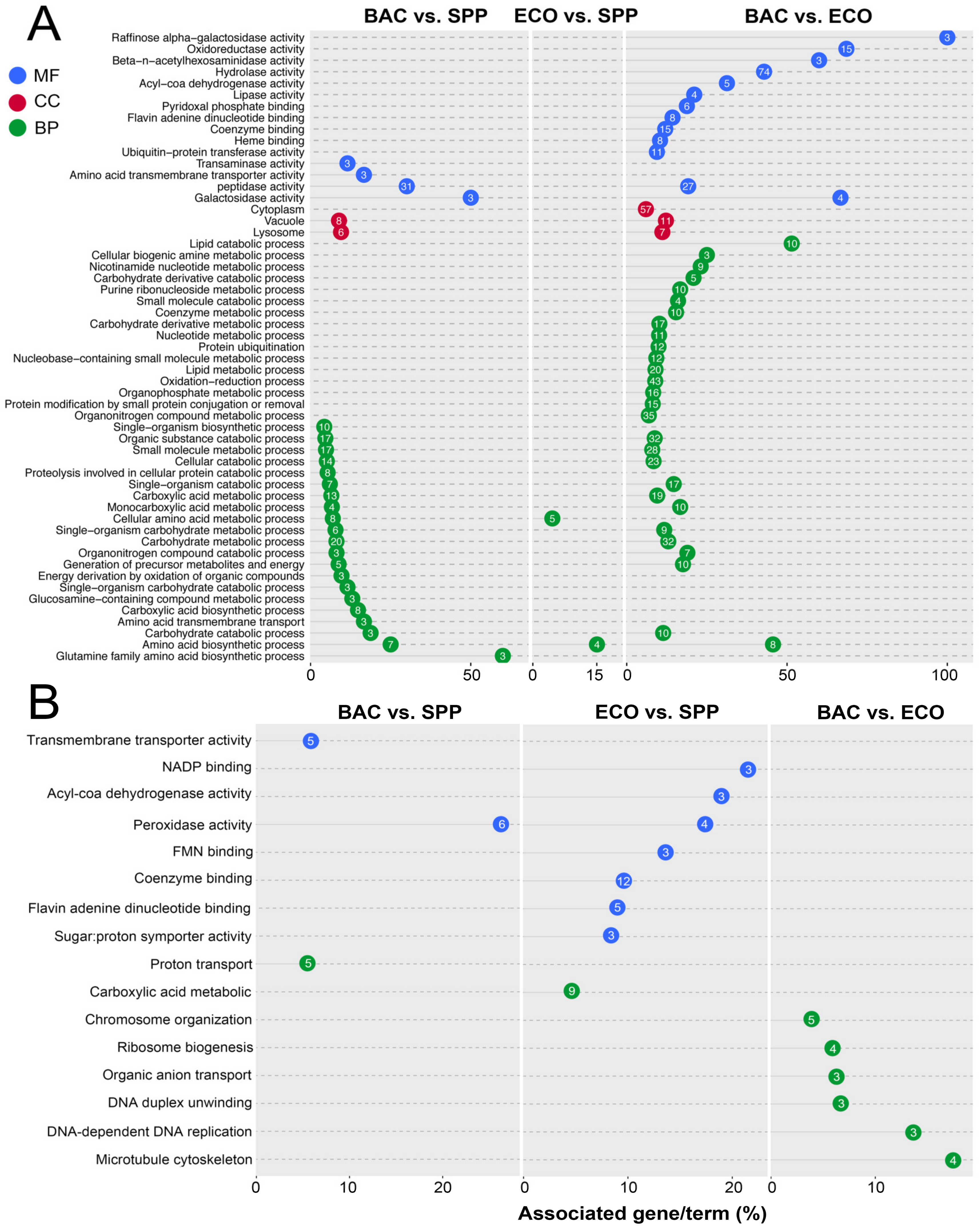 Microorganisms 08 00559 g004 Microorganisms 08 00559 g004