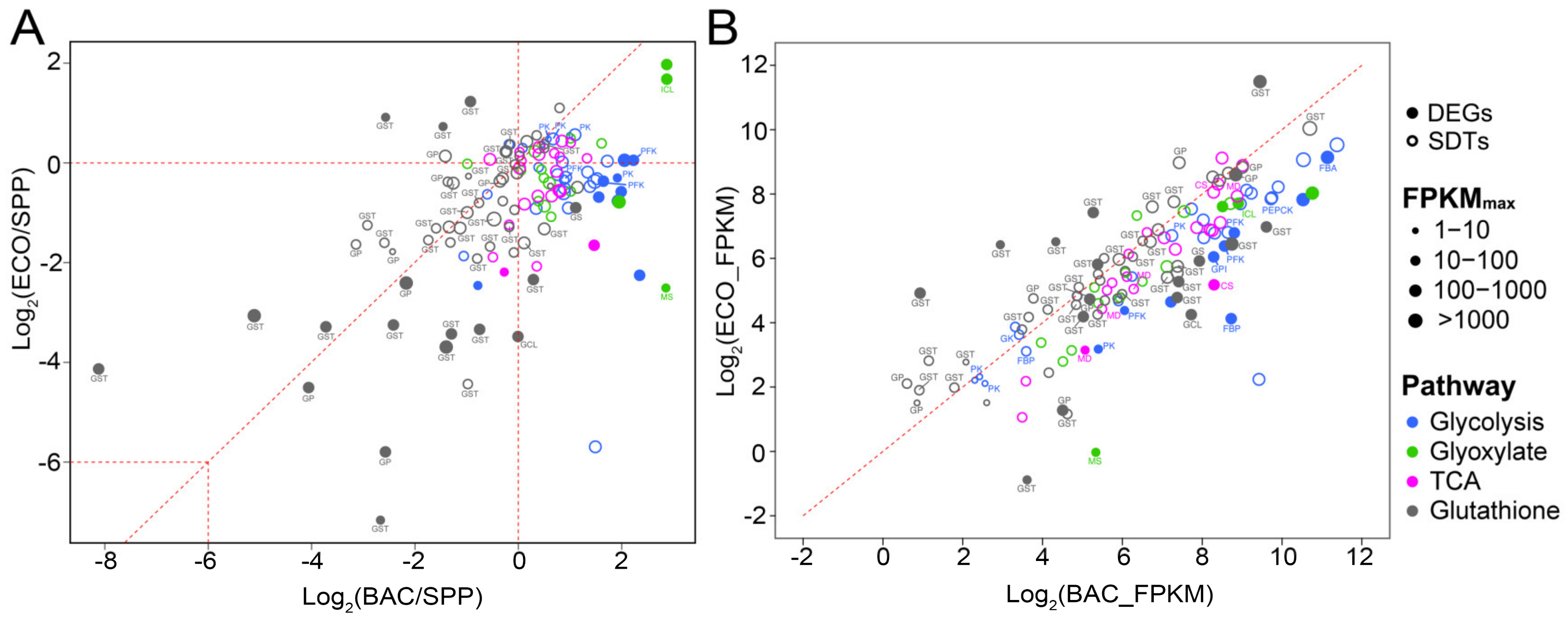Microorganisms 08 00559 g006 Microorganisms 08 00559 g006