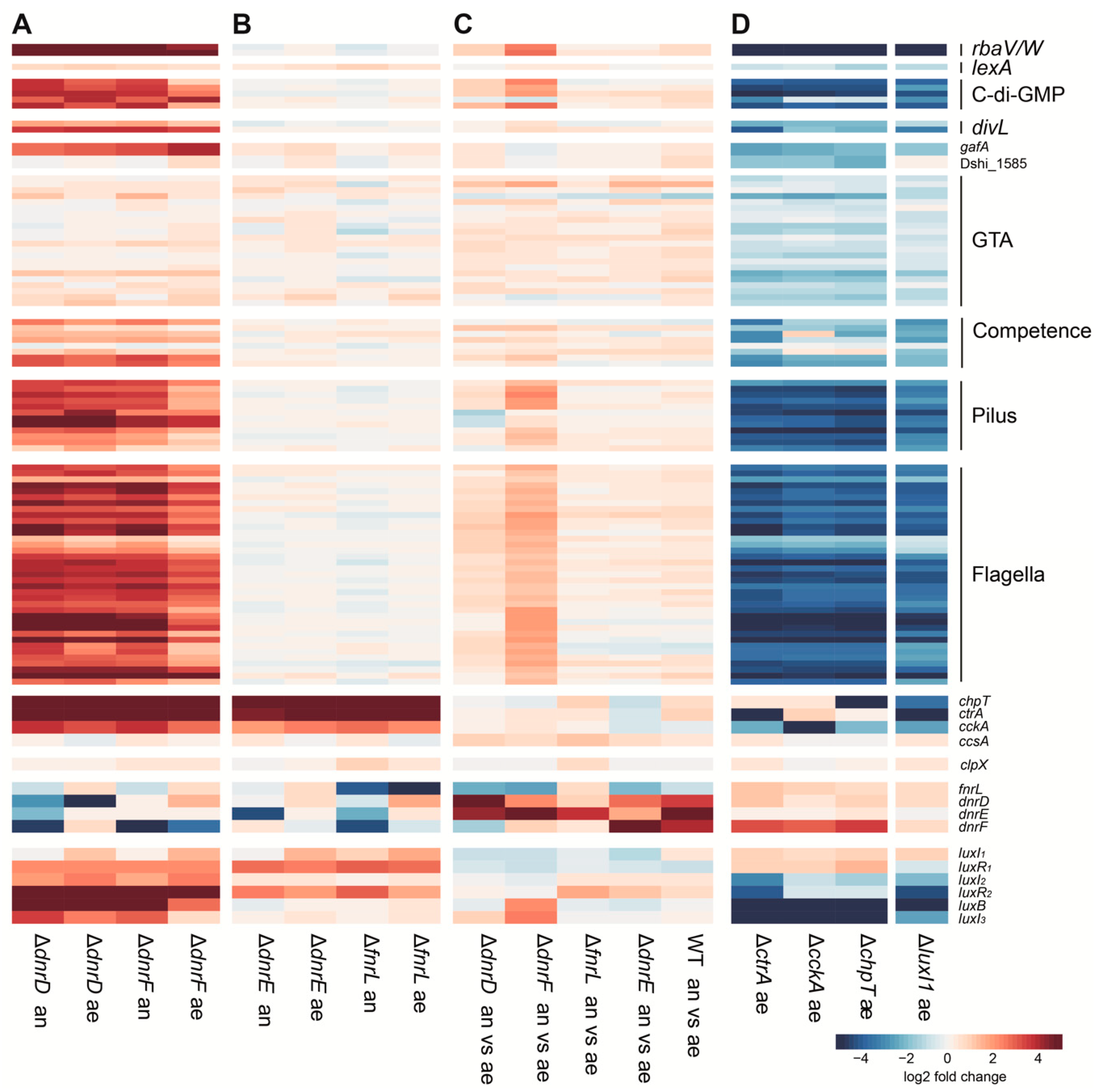 Microorganisms 08 00562 g001 Microorganisms 08 00562 g001