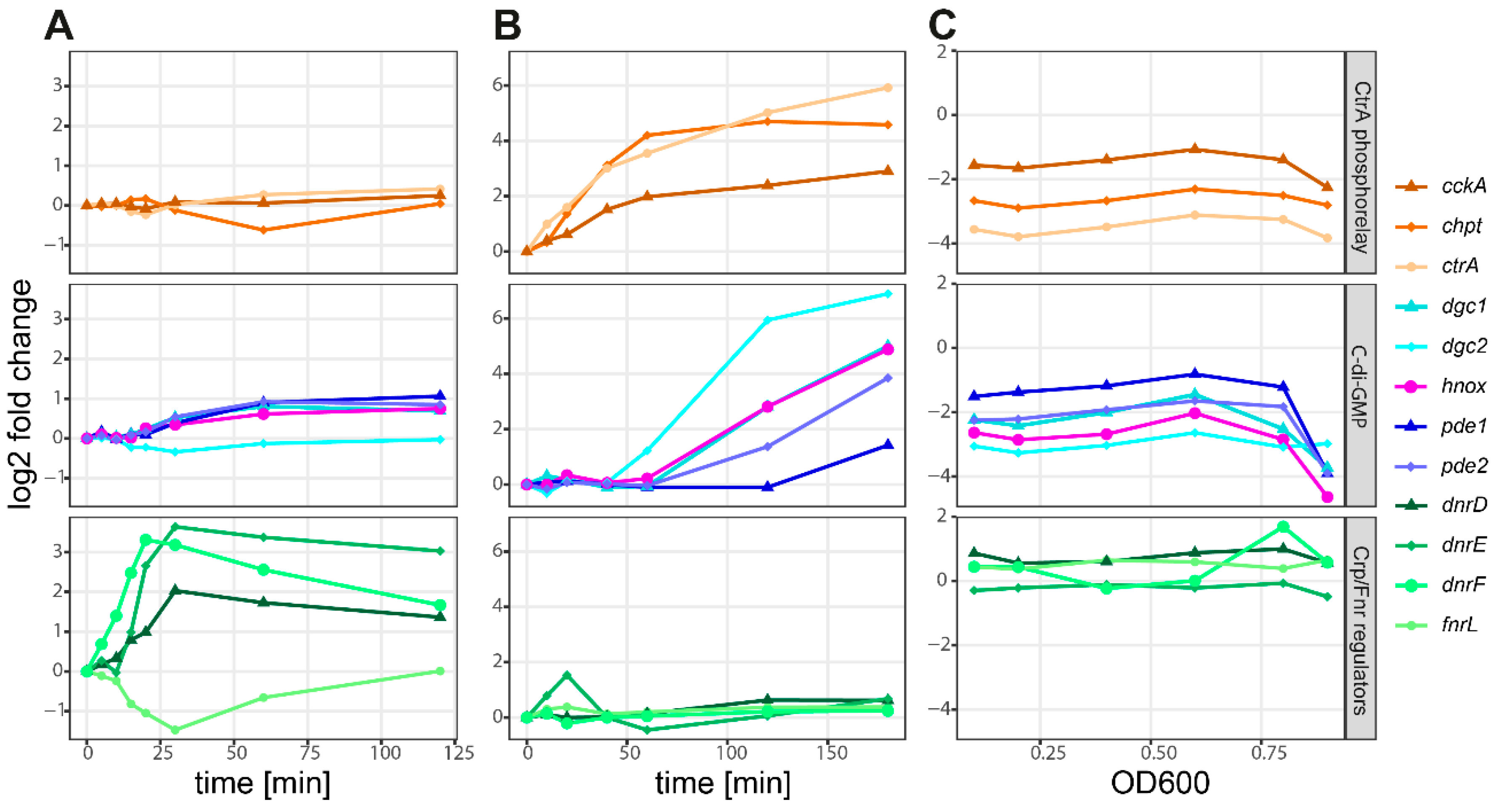 Microorganisms 08 00562 g004 Microorganisms 08 00562 g004