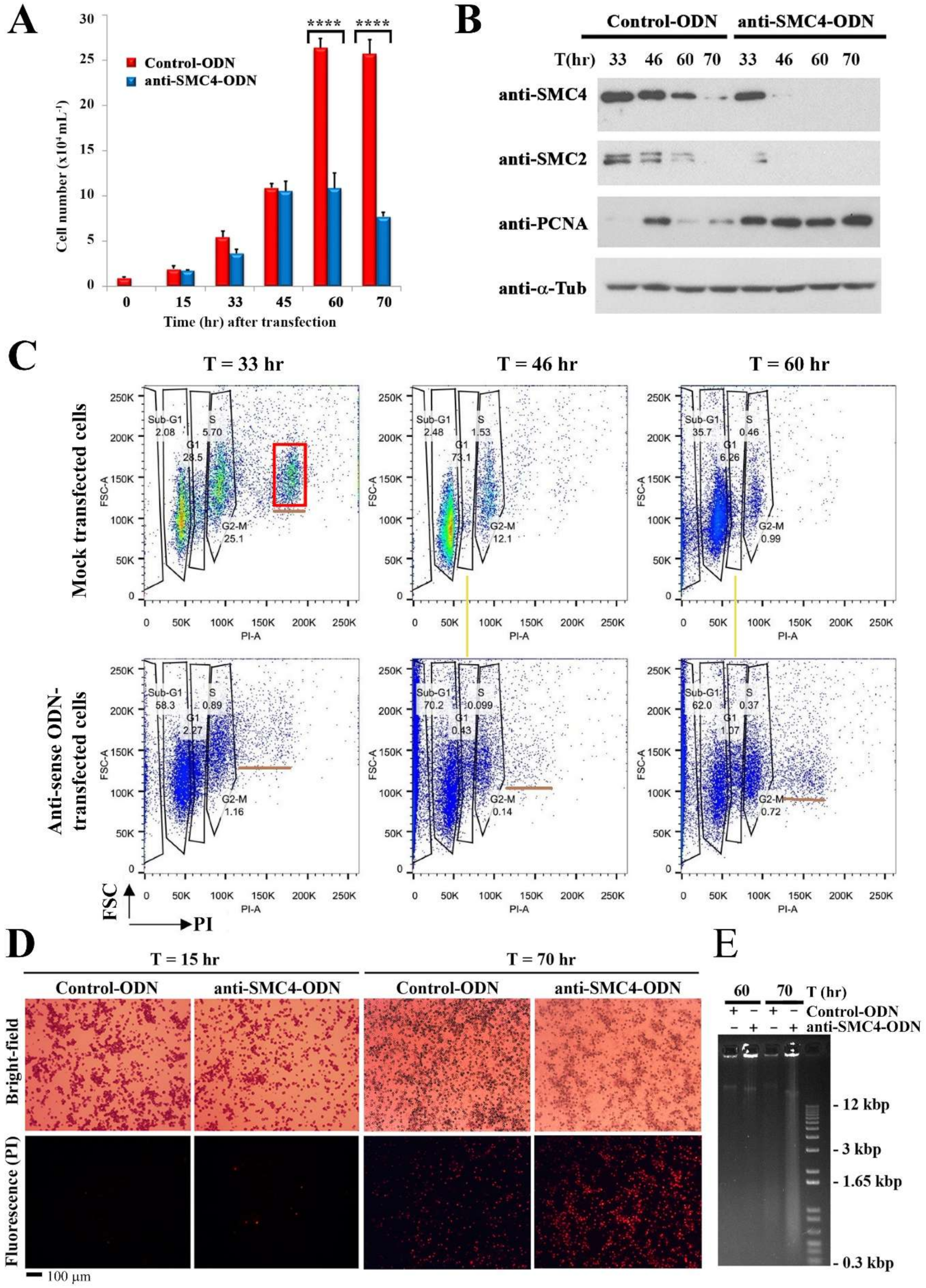 Microorganisms 08 00565 g003 Microorganisms 08 00565 g003