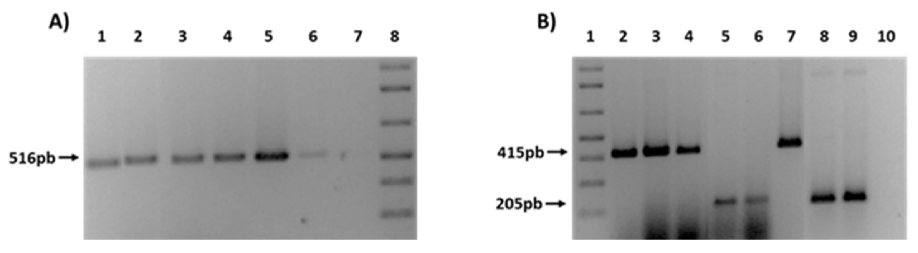 Microorganisms 08 00568 g004 Microorganisms 08 00568 g004