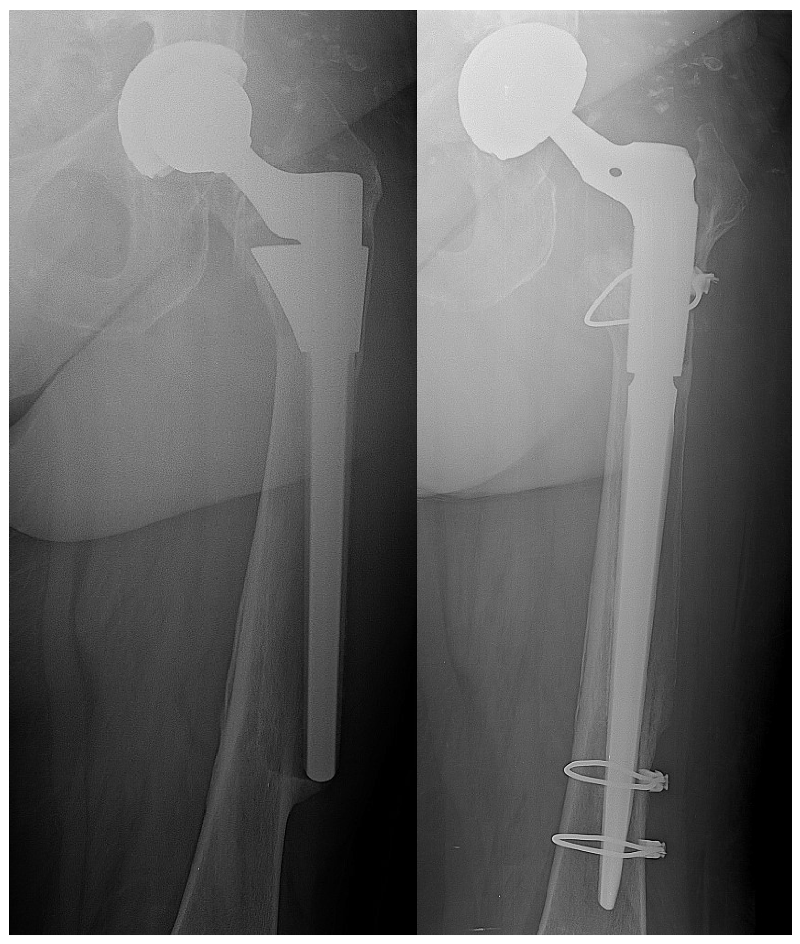 Microorganisms 08 00571 g002