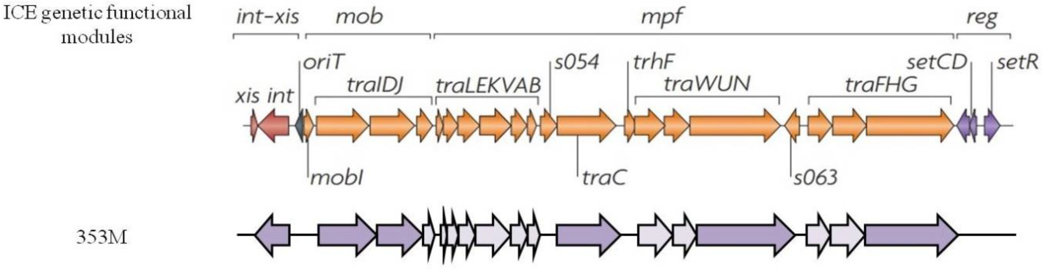 Microorganisms 08 00572 g002