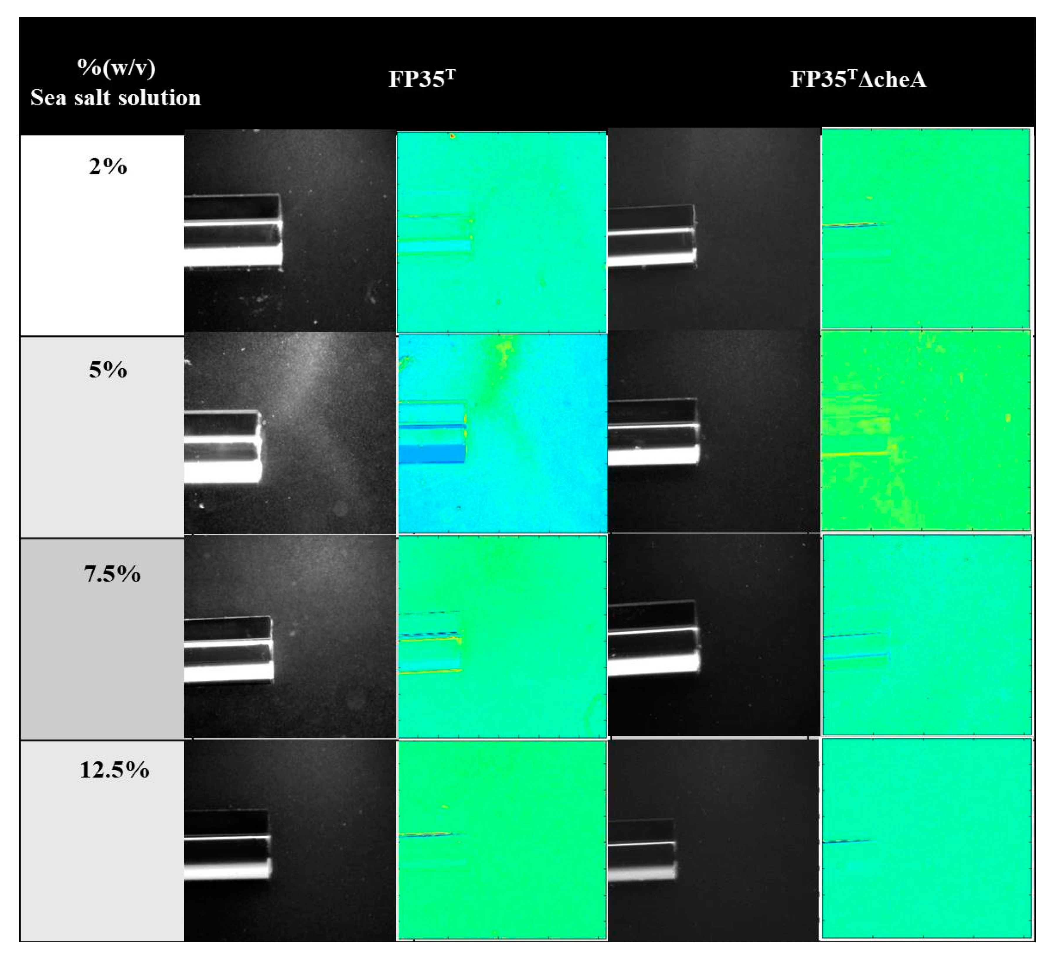 Microorganisms 08 00575 g001 Microorganisms 08 00575 g001