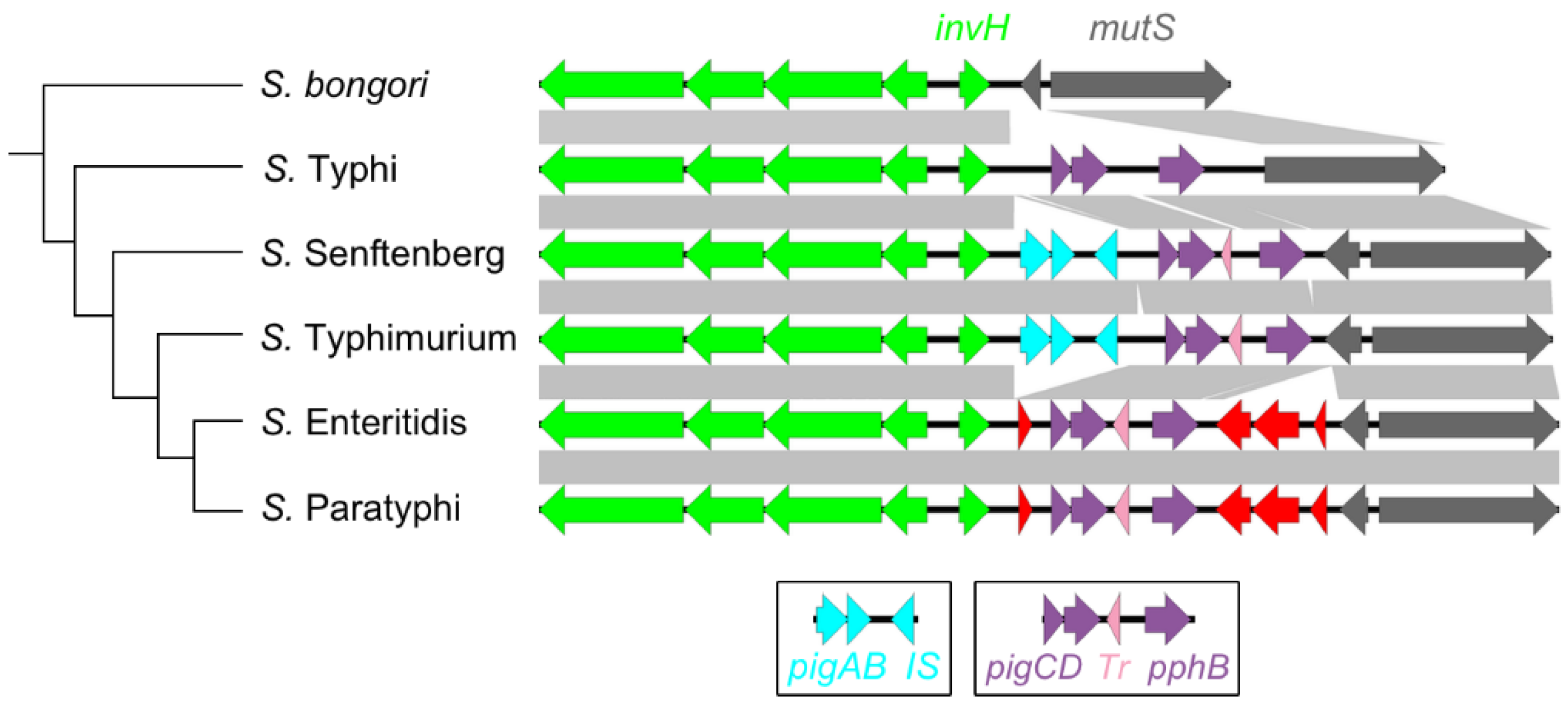 Microorganisms 08 00576 g003 Microorganisms 08 00576 g003