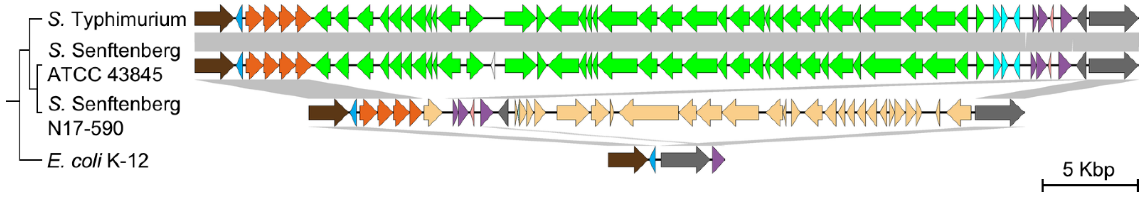 Microorganisms 08 00576 g004 Microorganisms 08 00576 g004