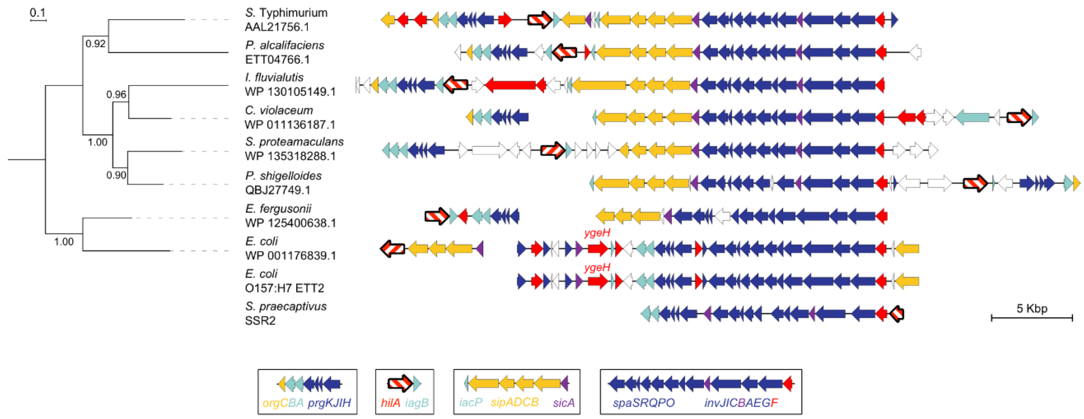 Microorganisms 08 00576 g006 Microorganisms 08 00576 g006