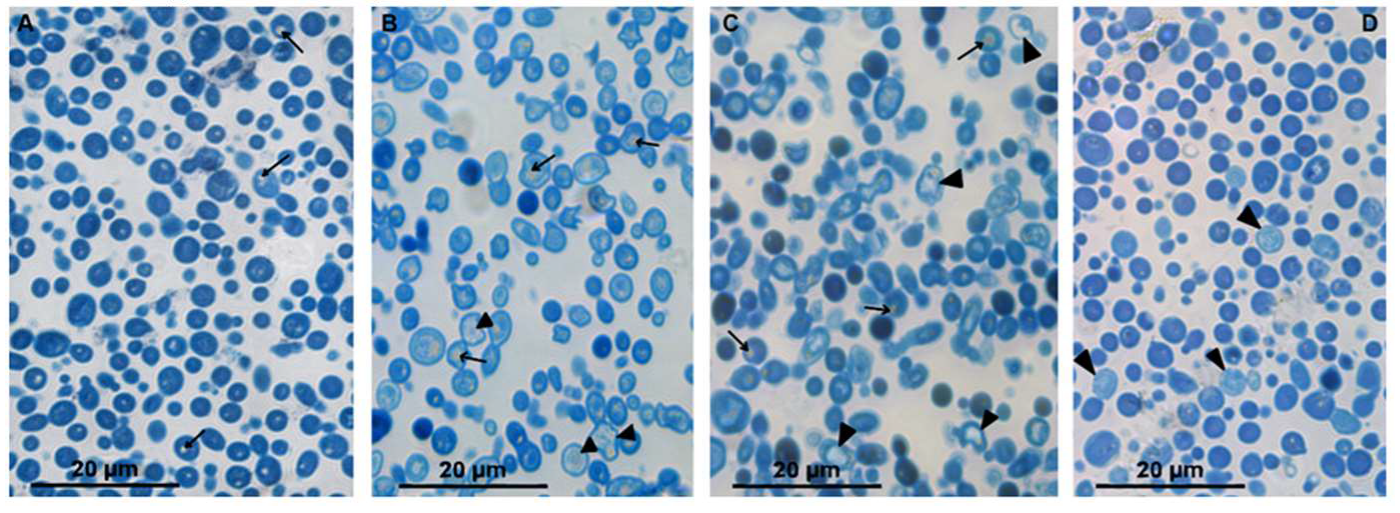 Microorganisms 08 00582 g001