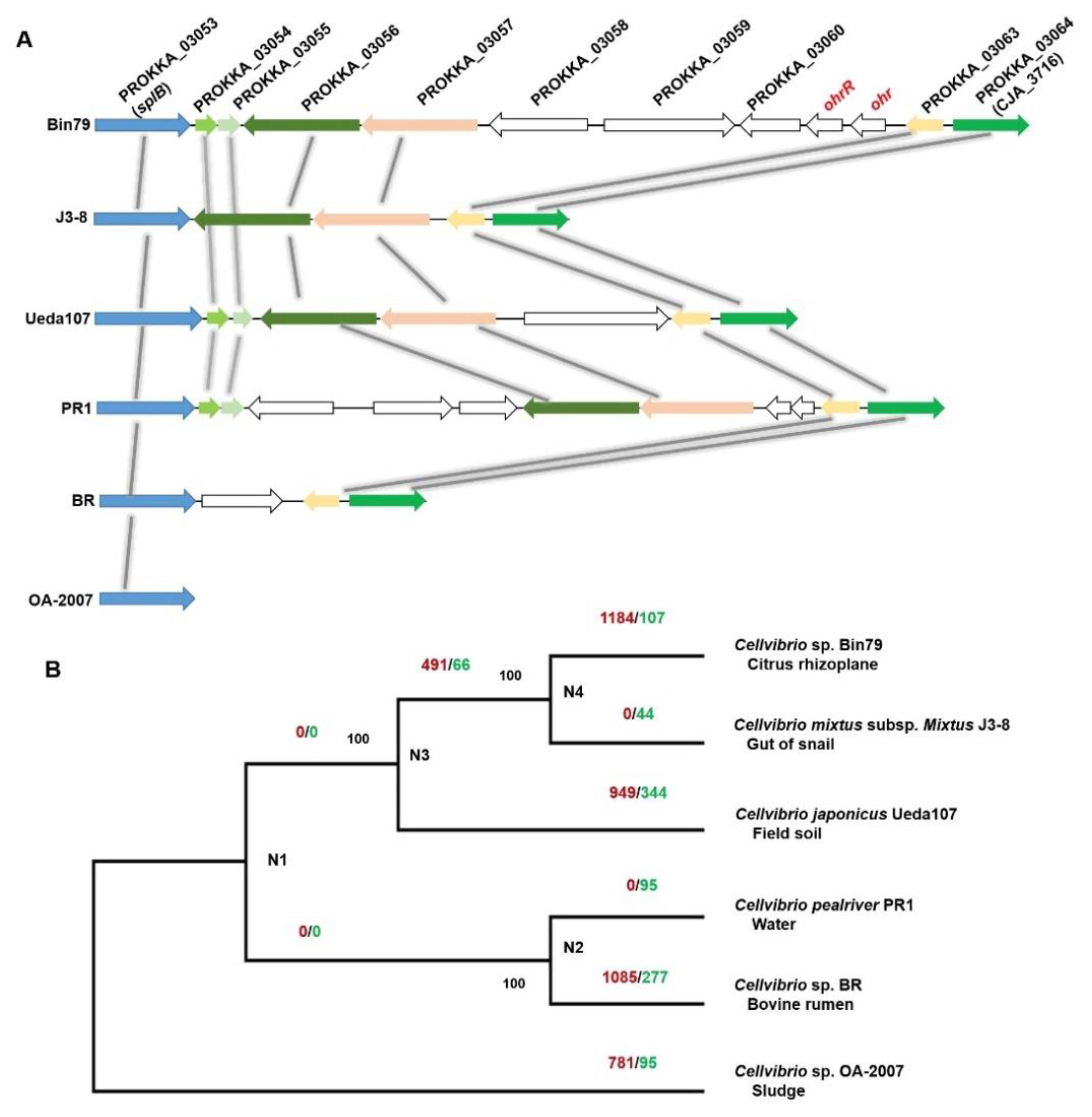 Microorganisms 08 00583 g005 Microorganisms 08 00583 g005