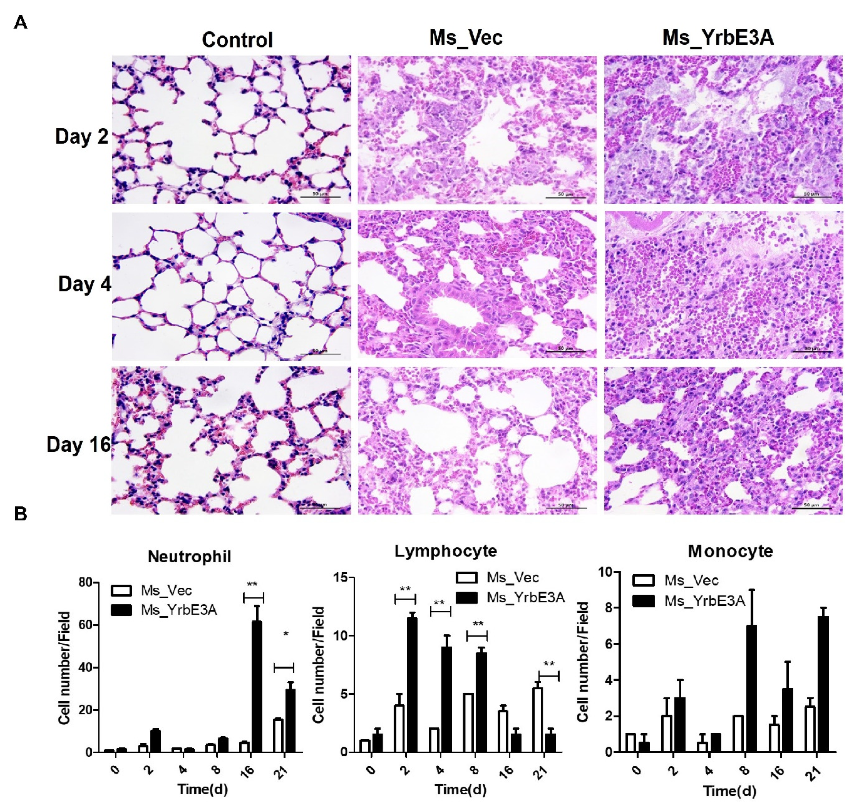 Microorganisms 08 00584 g004 Microorganisms 08 00584 g004