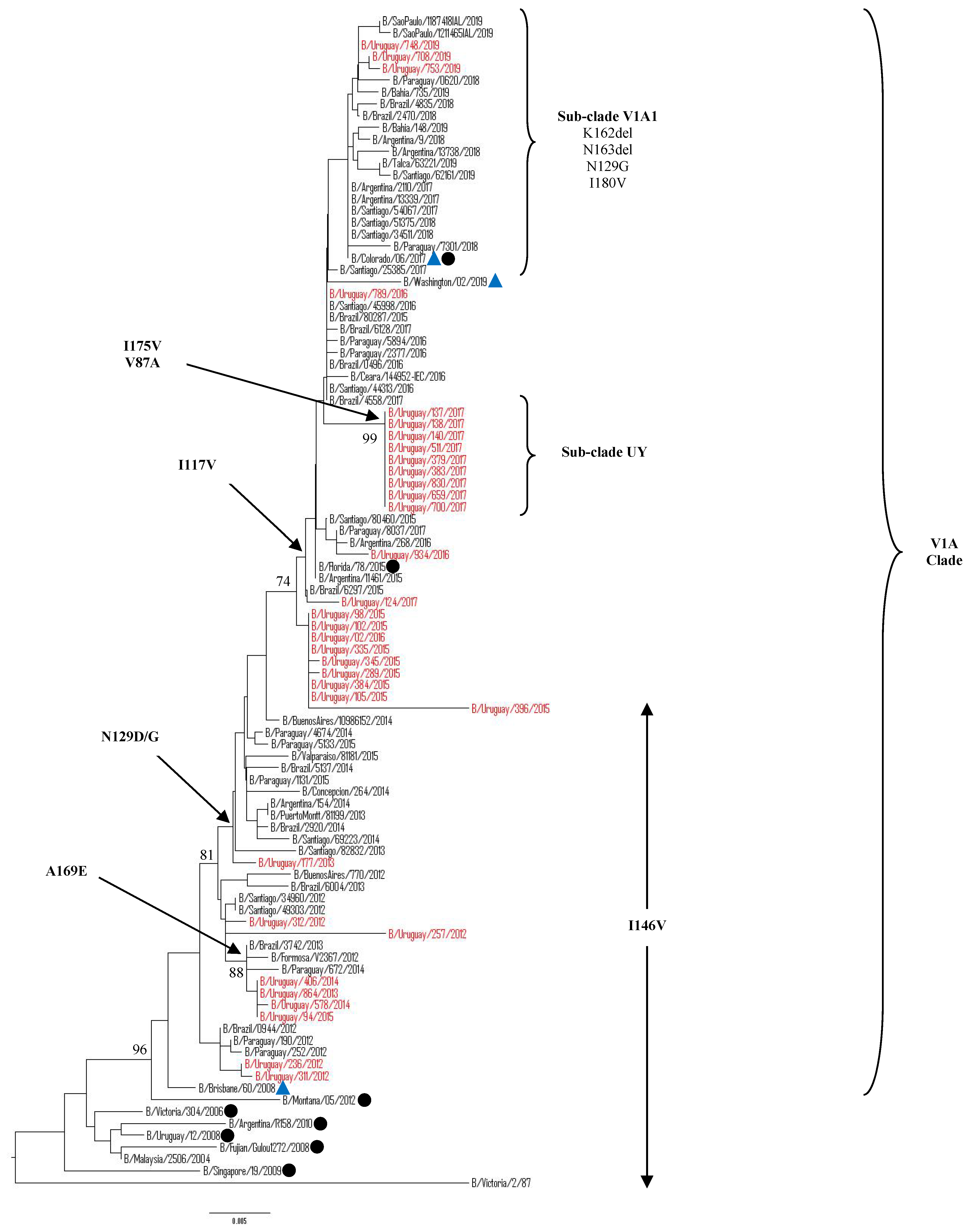 Microorganisms 08 00591 g004