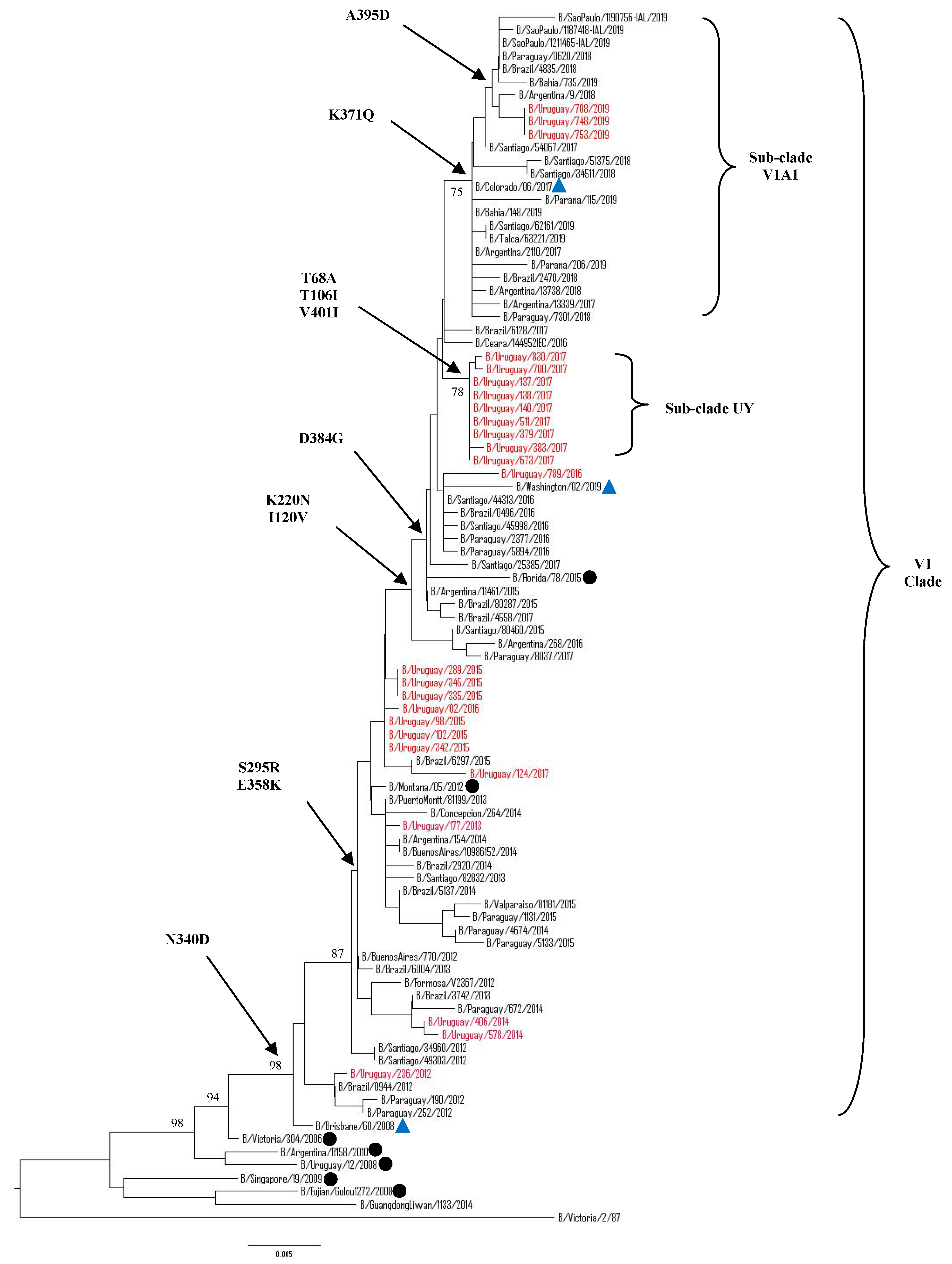 Microorganisms 08 00591 g006