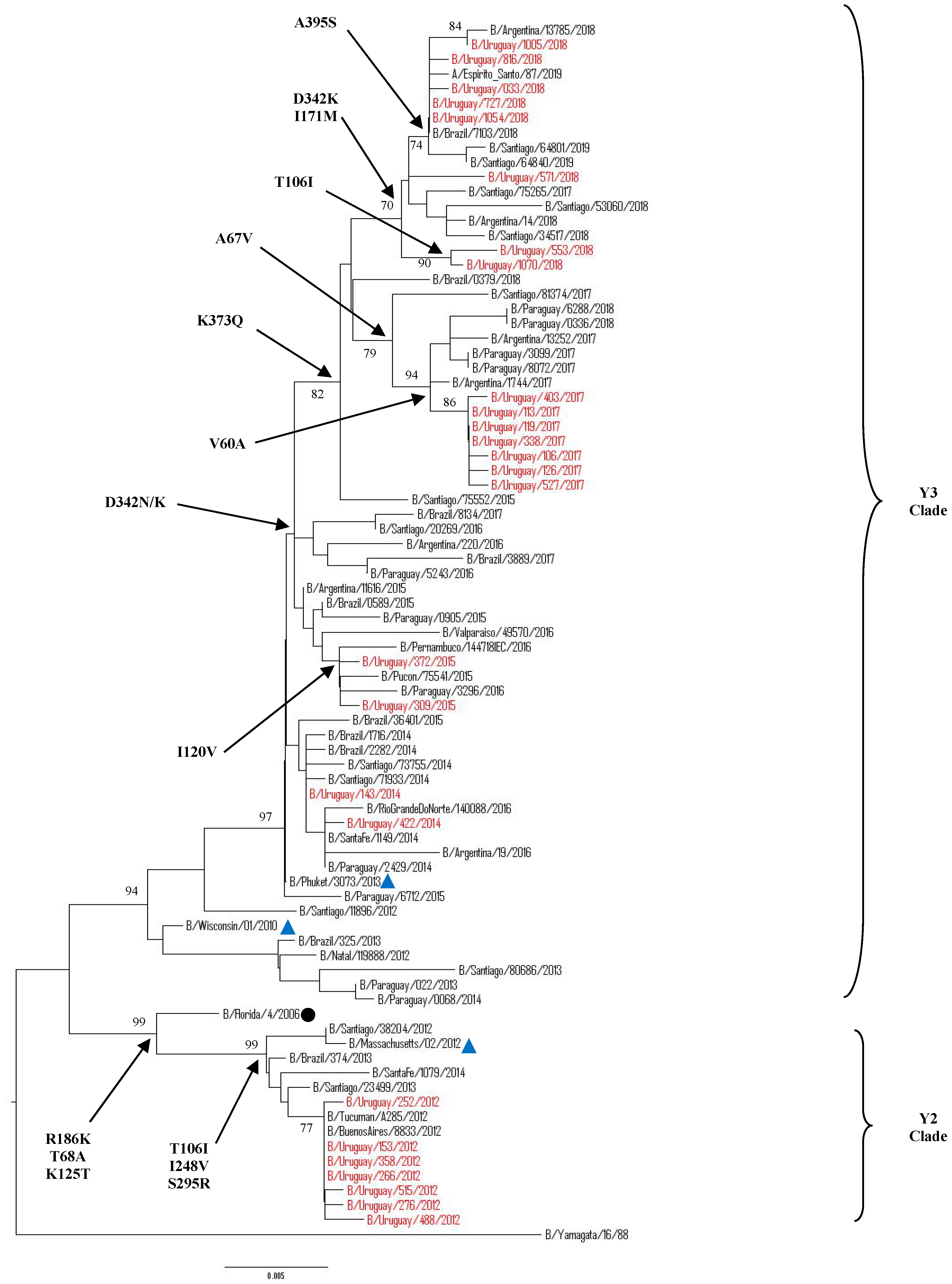 Microorganisms 08 00591 g007