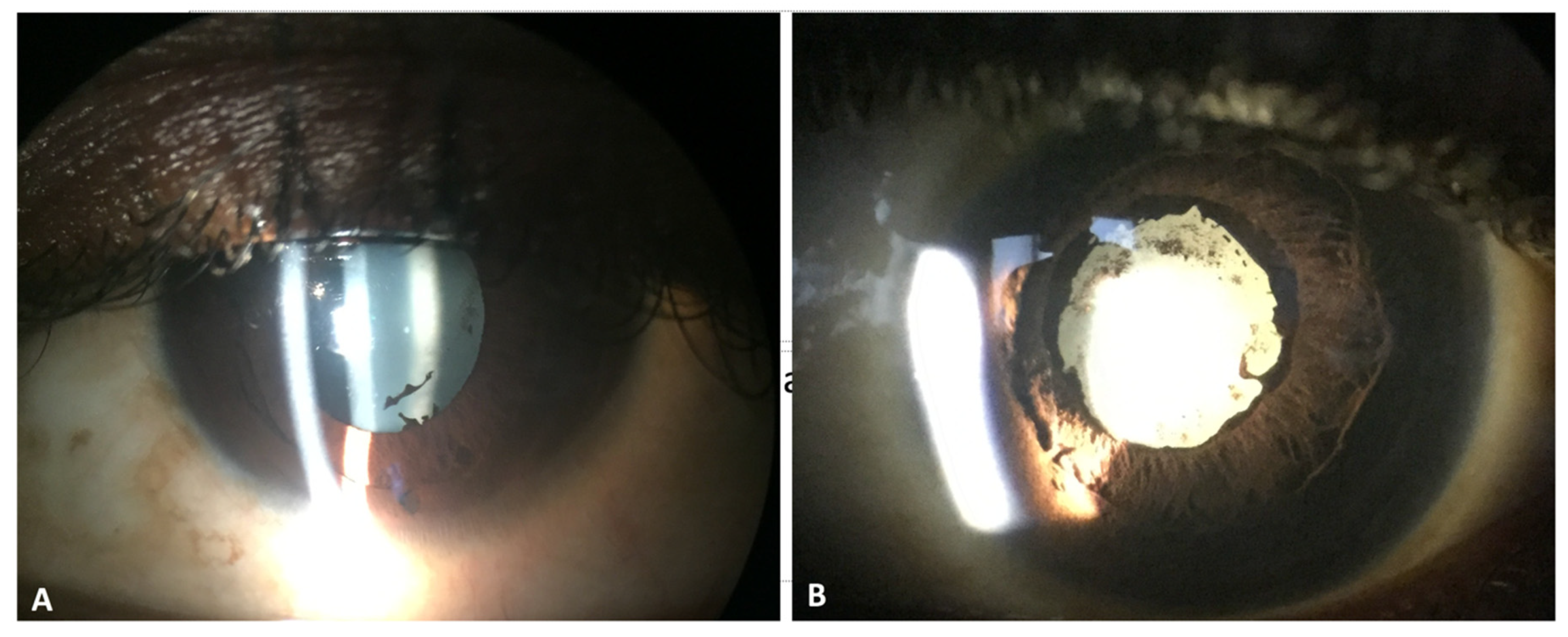 Microorganisms 08 00594 g001