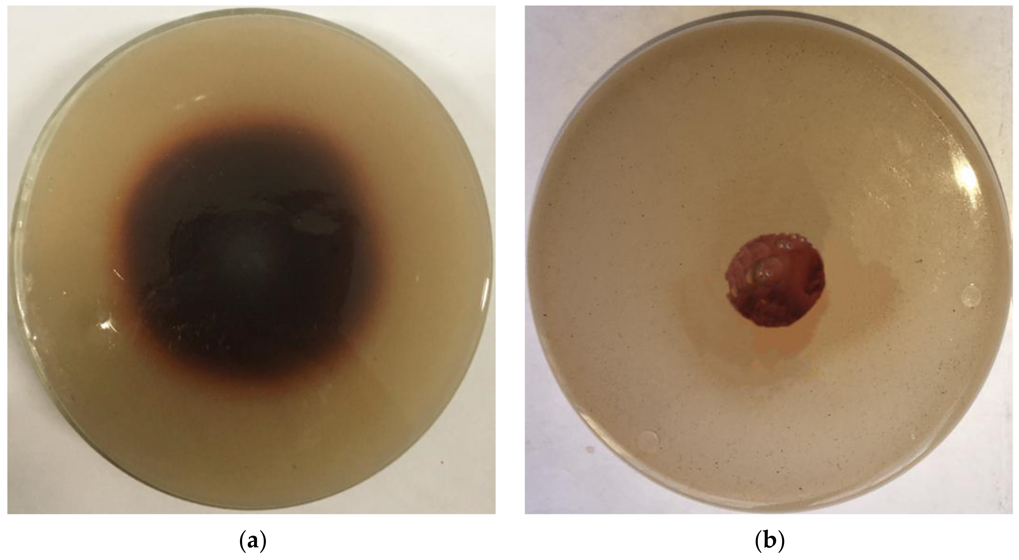 Microorganisms 08 00601 g007 Microorganisms 08 00601 g007