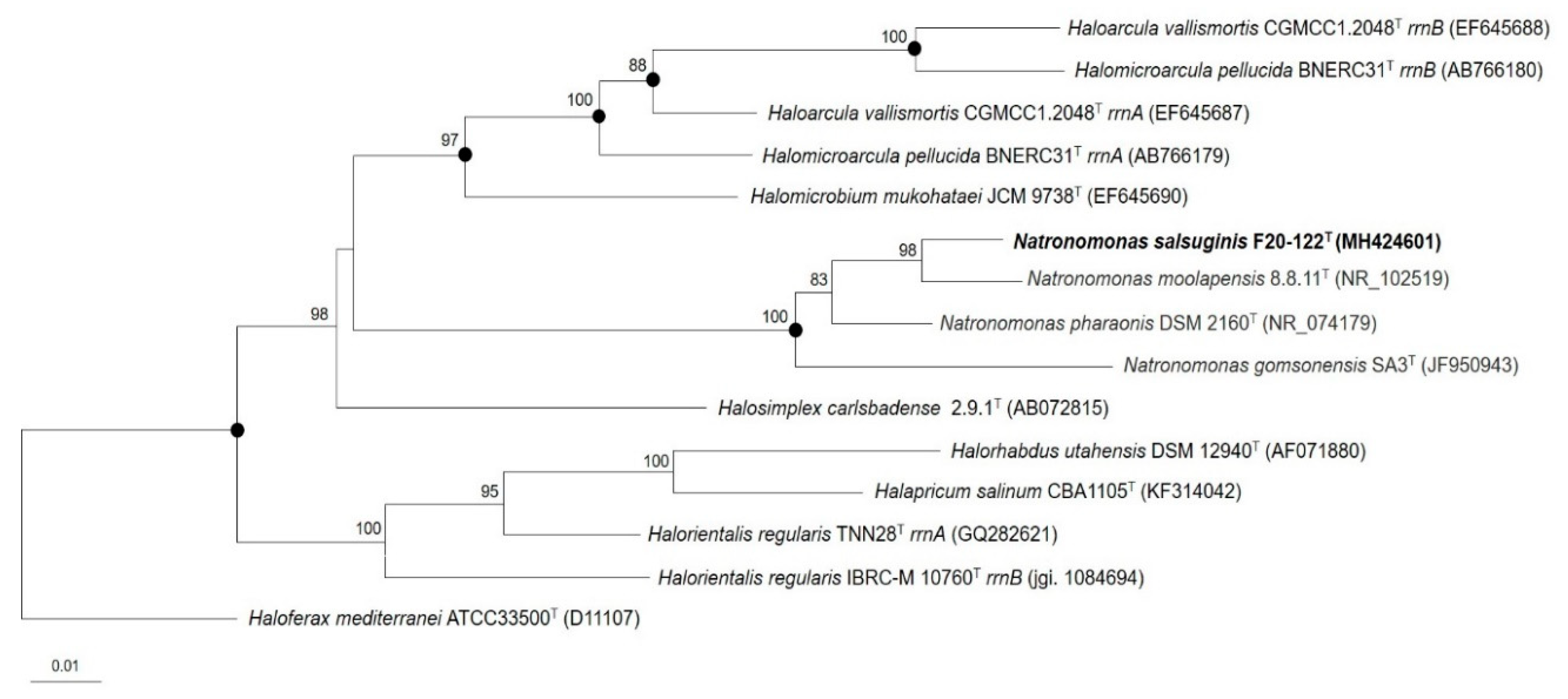 Microorganisms 08 00605 g001