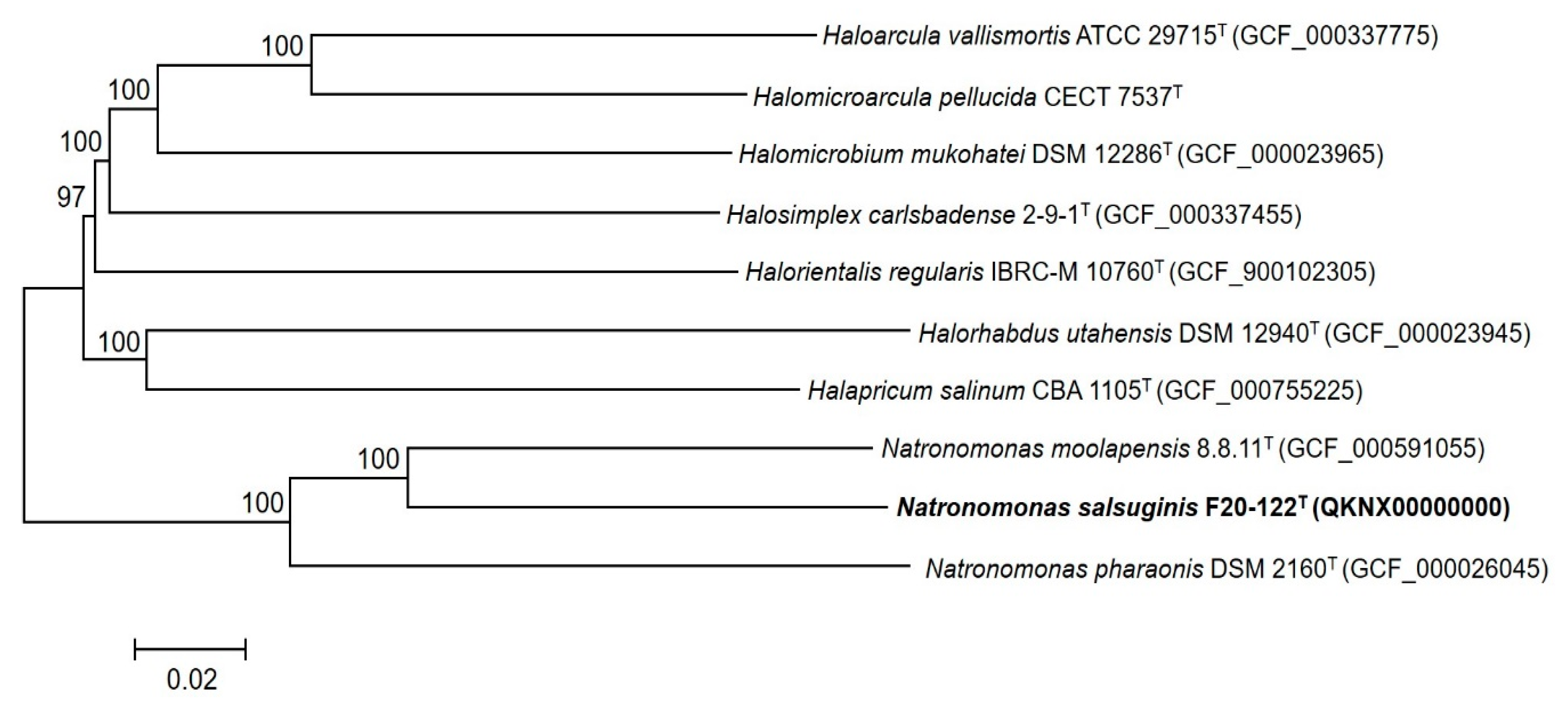 Microorganisms 08 00605 g003