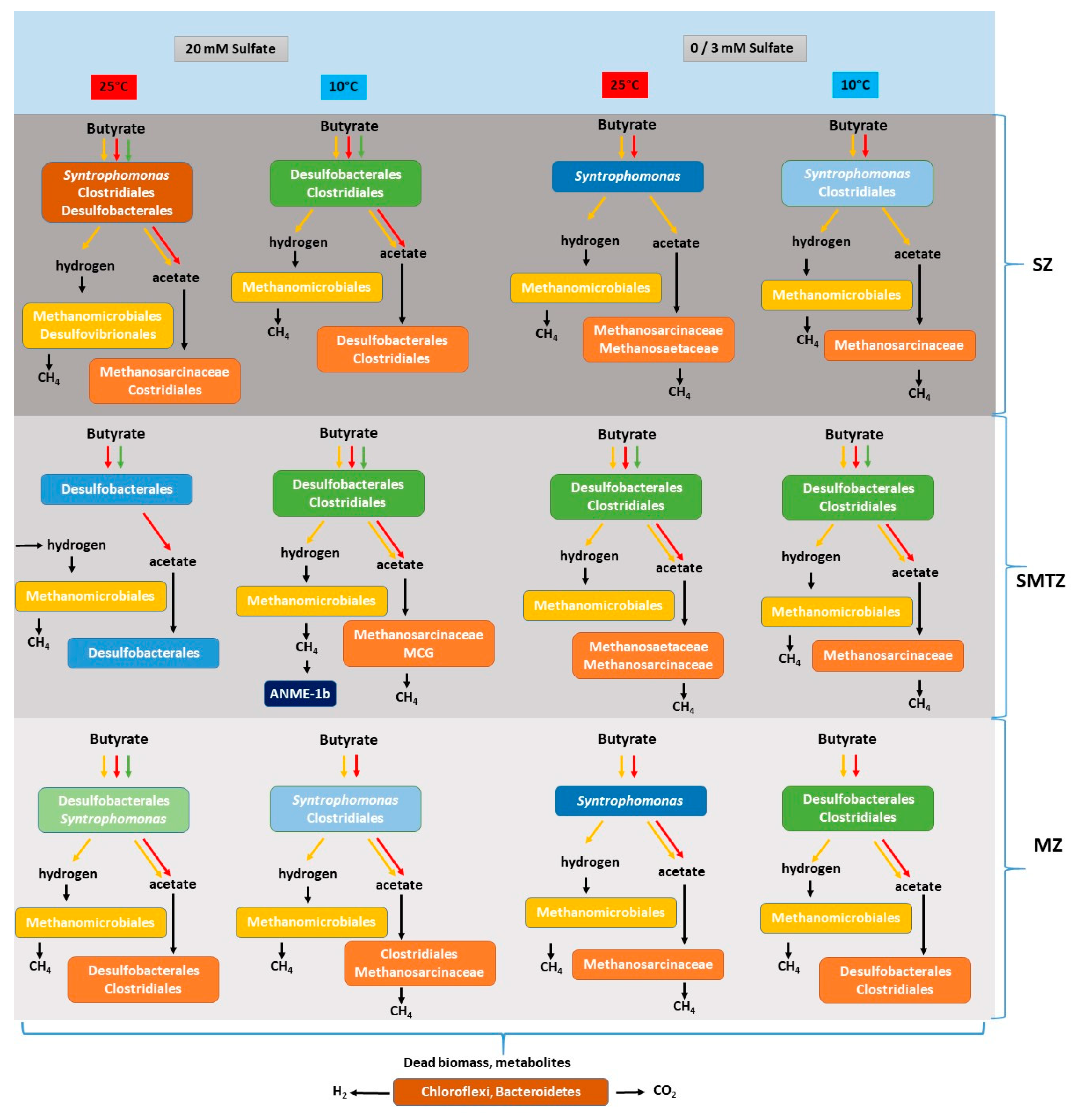 Microorganisms 08 00606 g006