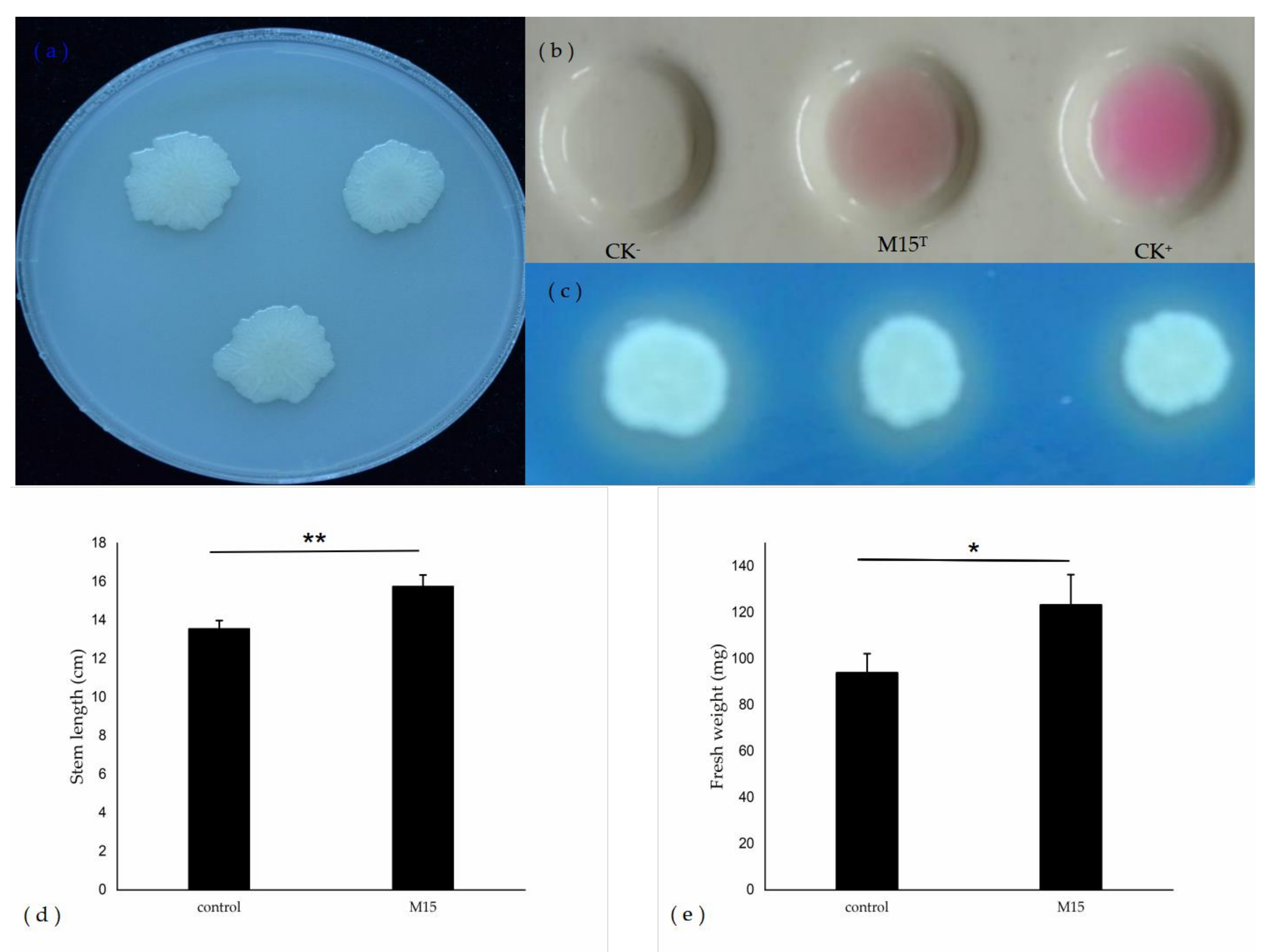 Microorganisms 08 00608 g002 Microorganisms 08 00608 g002