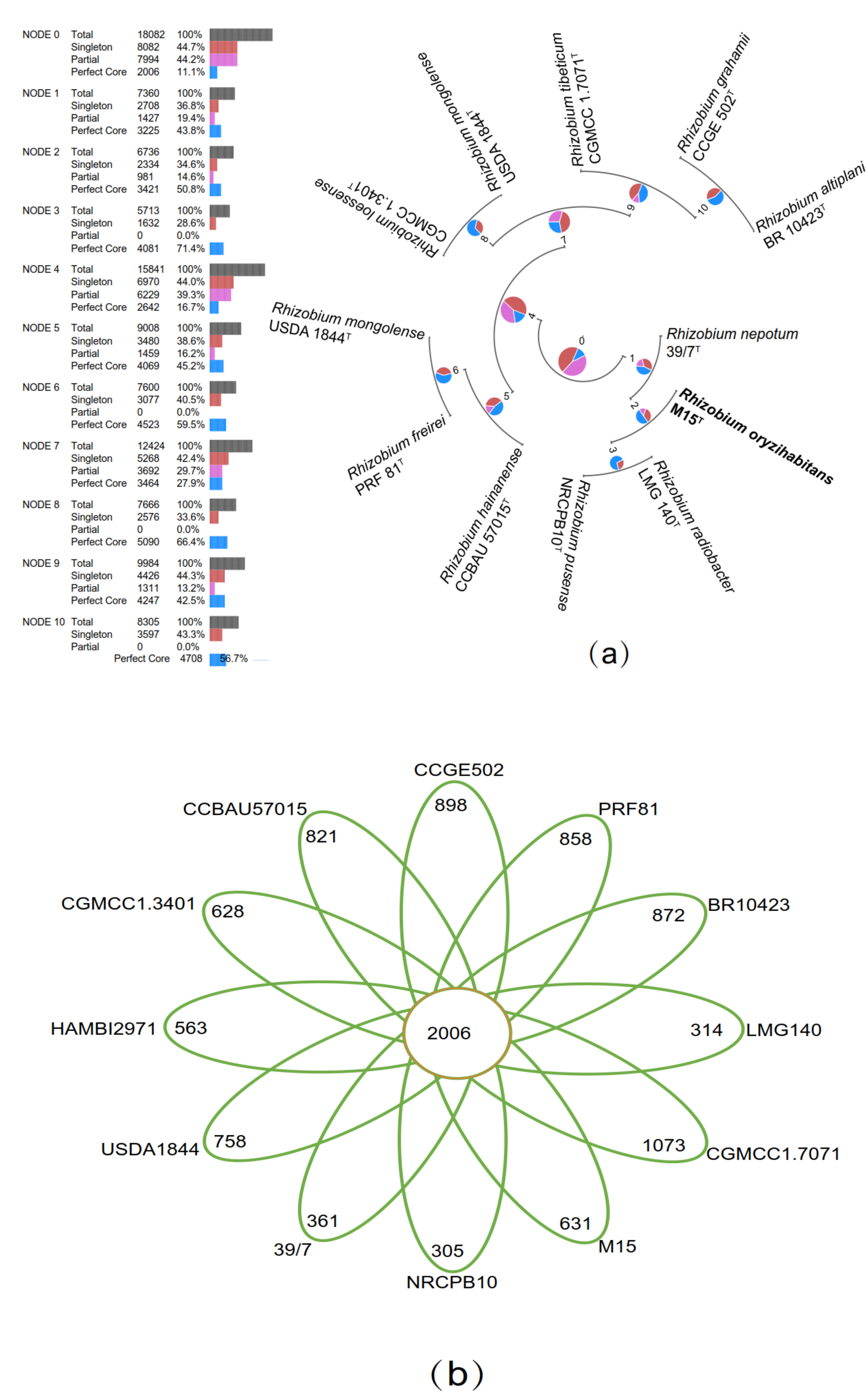 Microorganisms 08 00608 g003a Microorganisms 08 00608 g003a