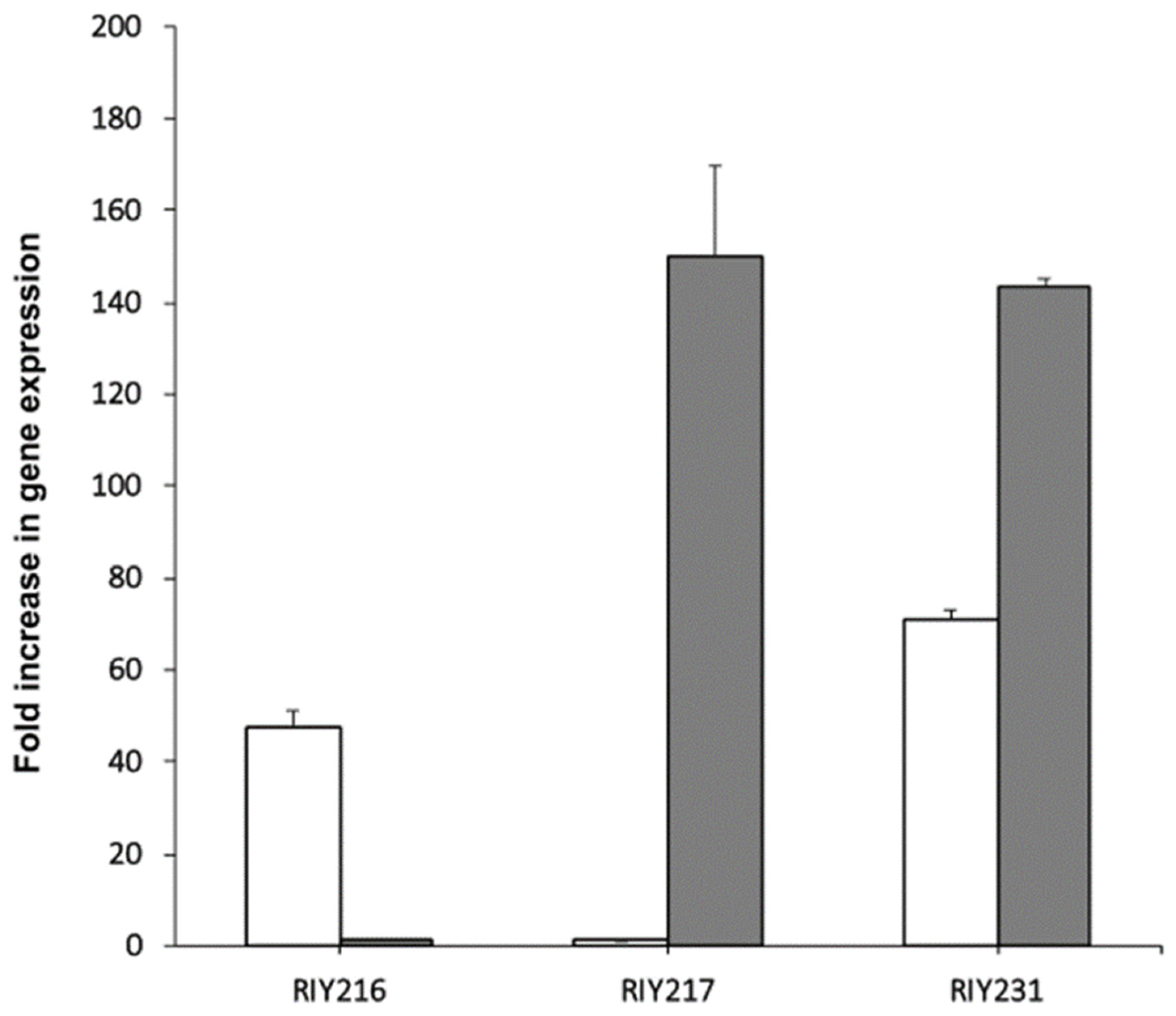 Microorganisms 08 00611 g001 Microorganisms 08 00611 g001