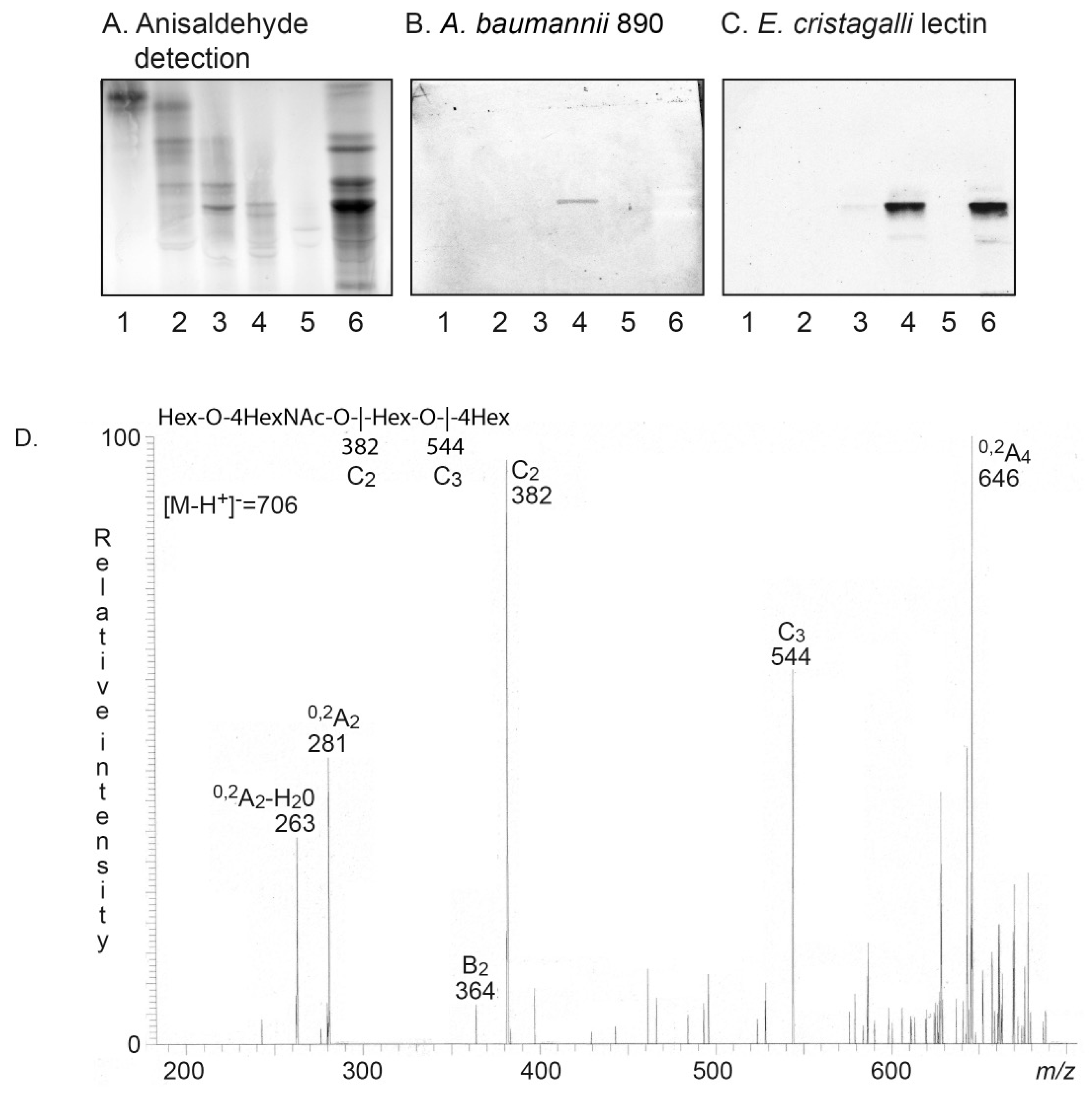 Microorganisms 08 00612 g006