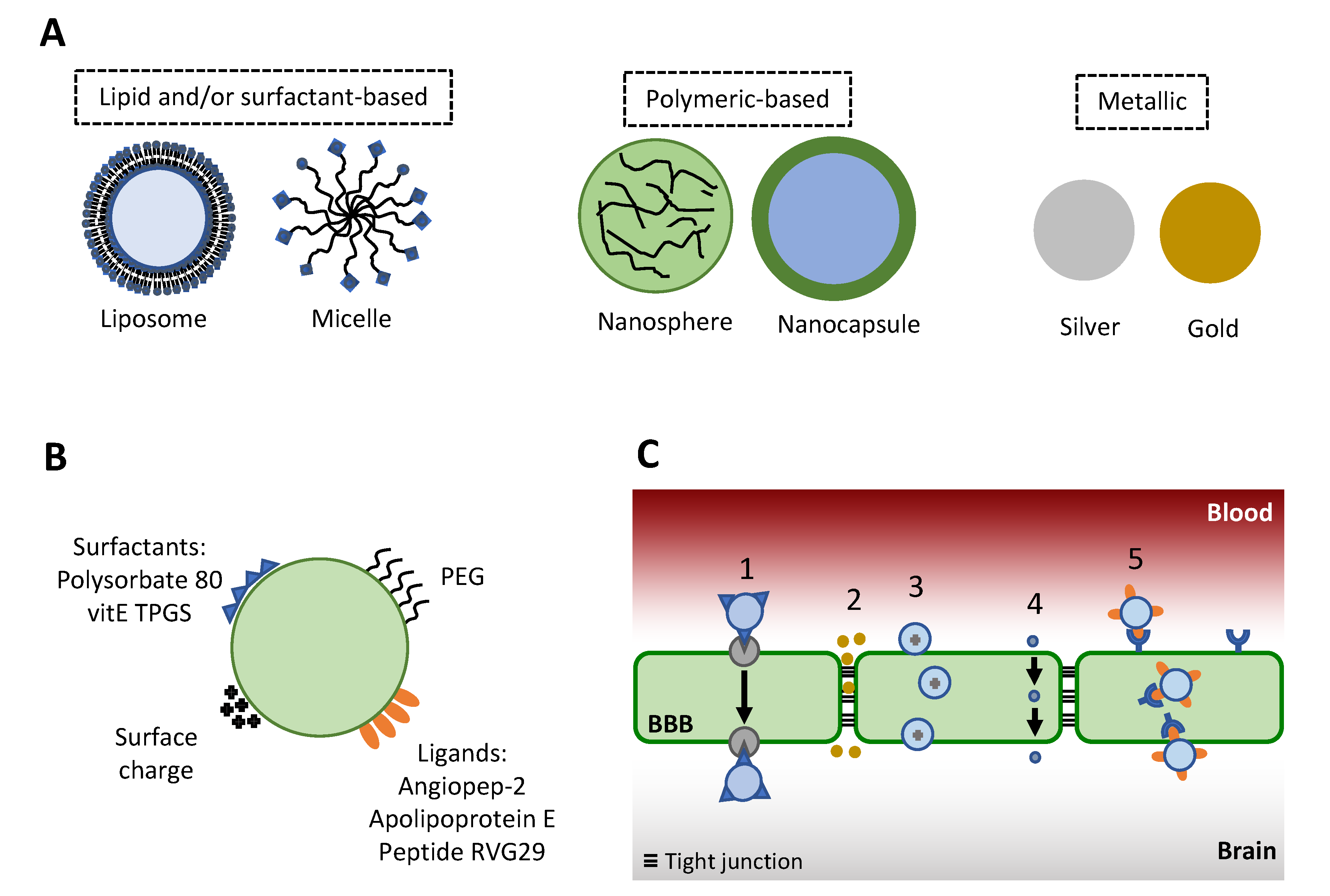 Microorganisms 08 00613 g002