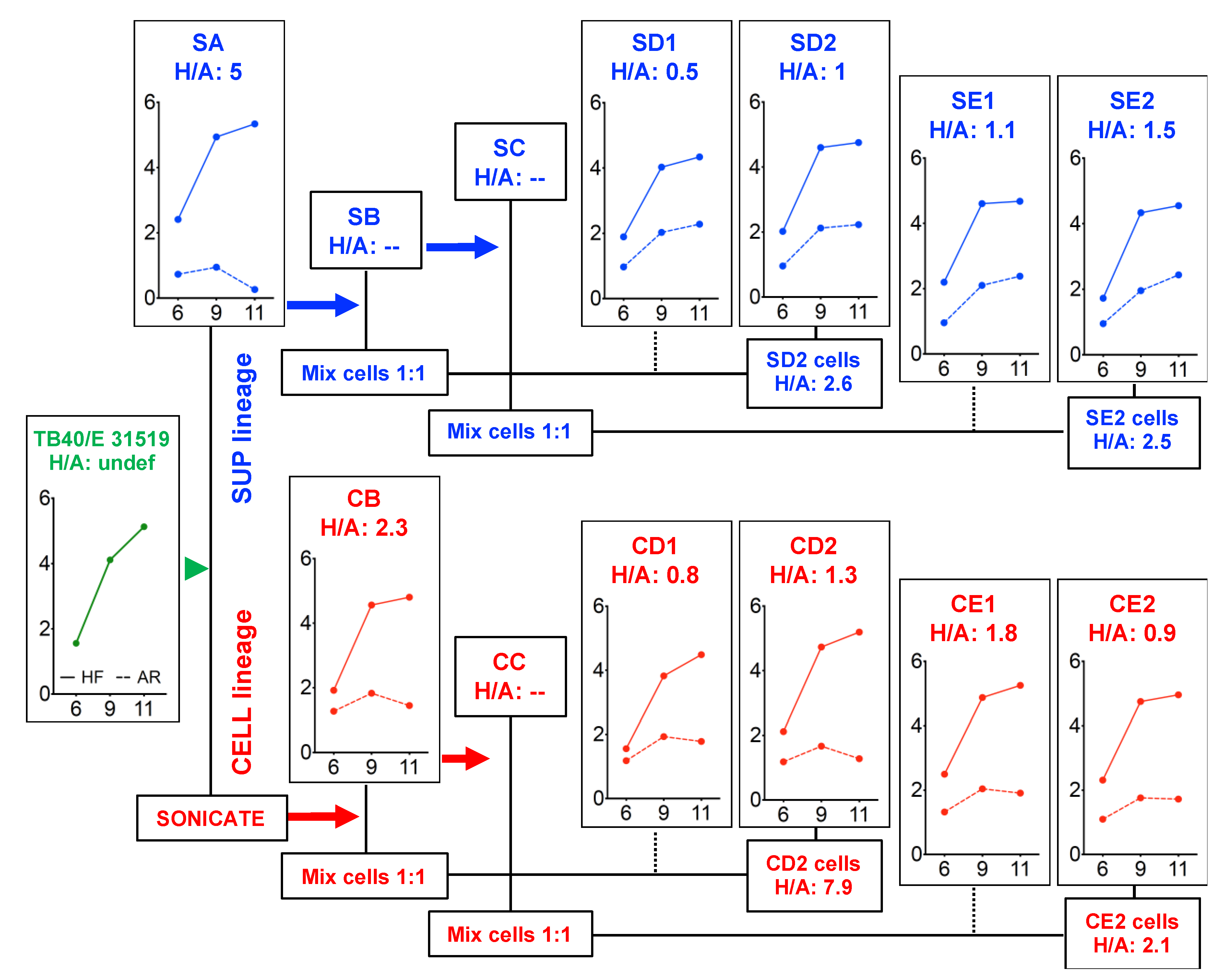 Microorganisms 08 00615 g003