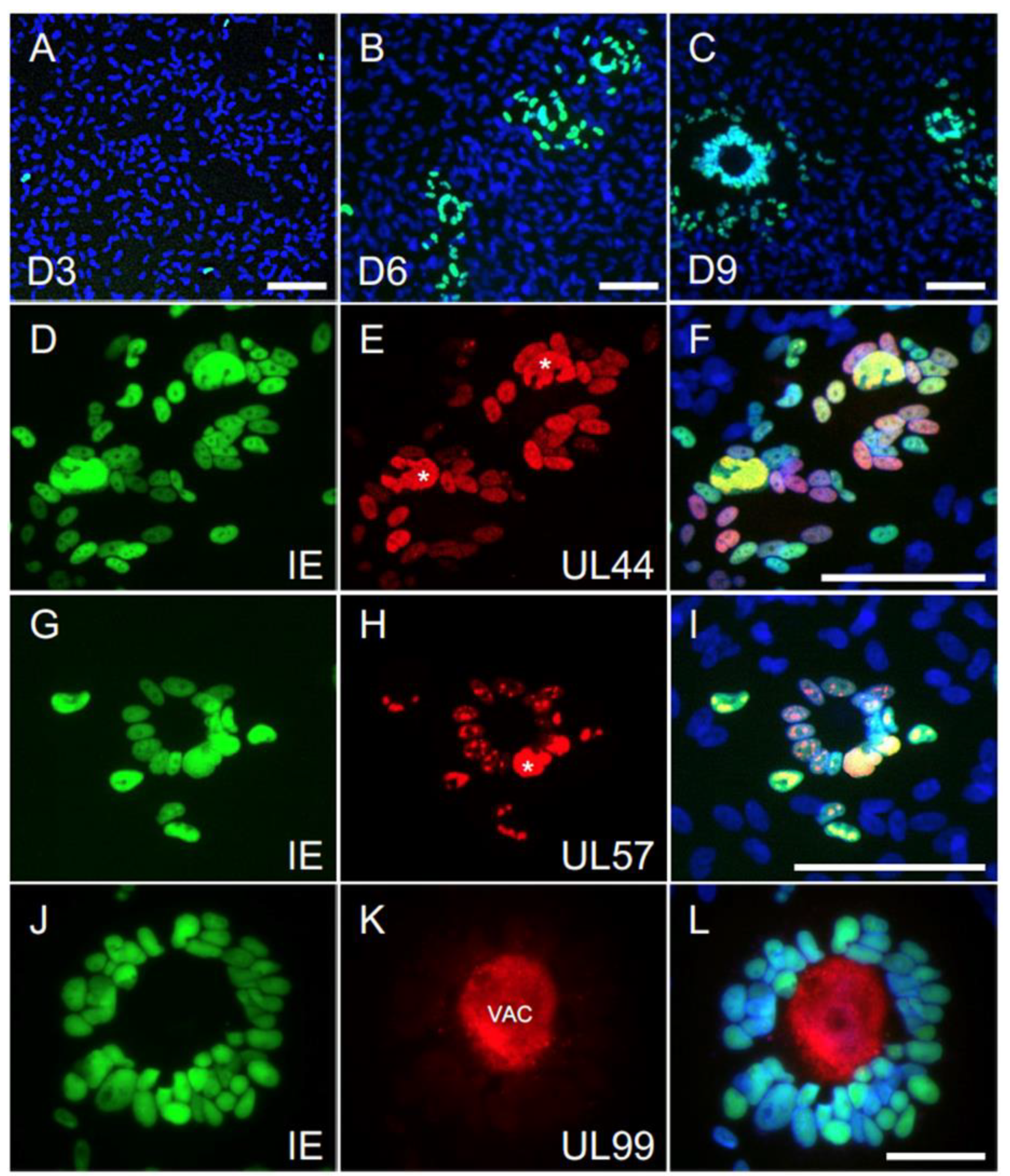 Microorganisms 08 00615 g006