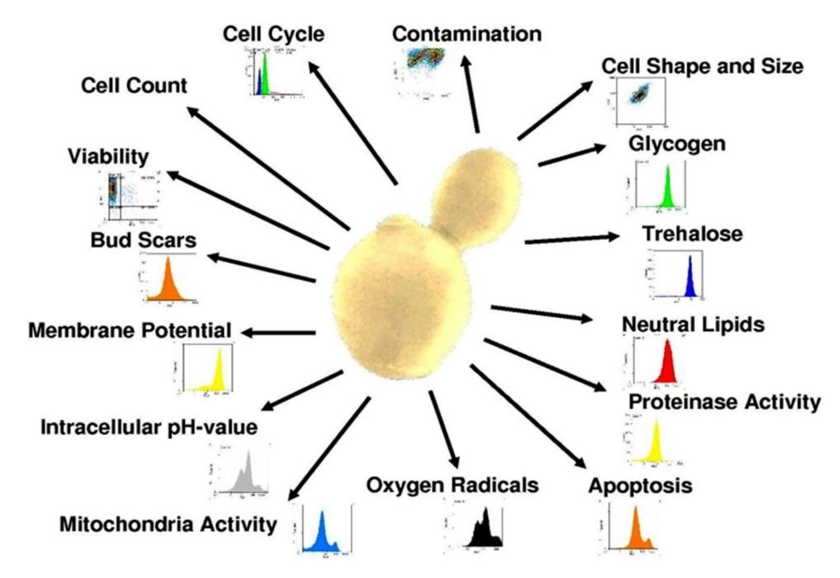 Microorganisms 08 00619 g007