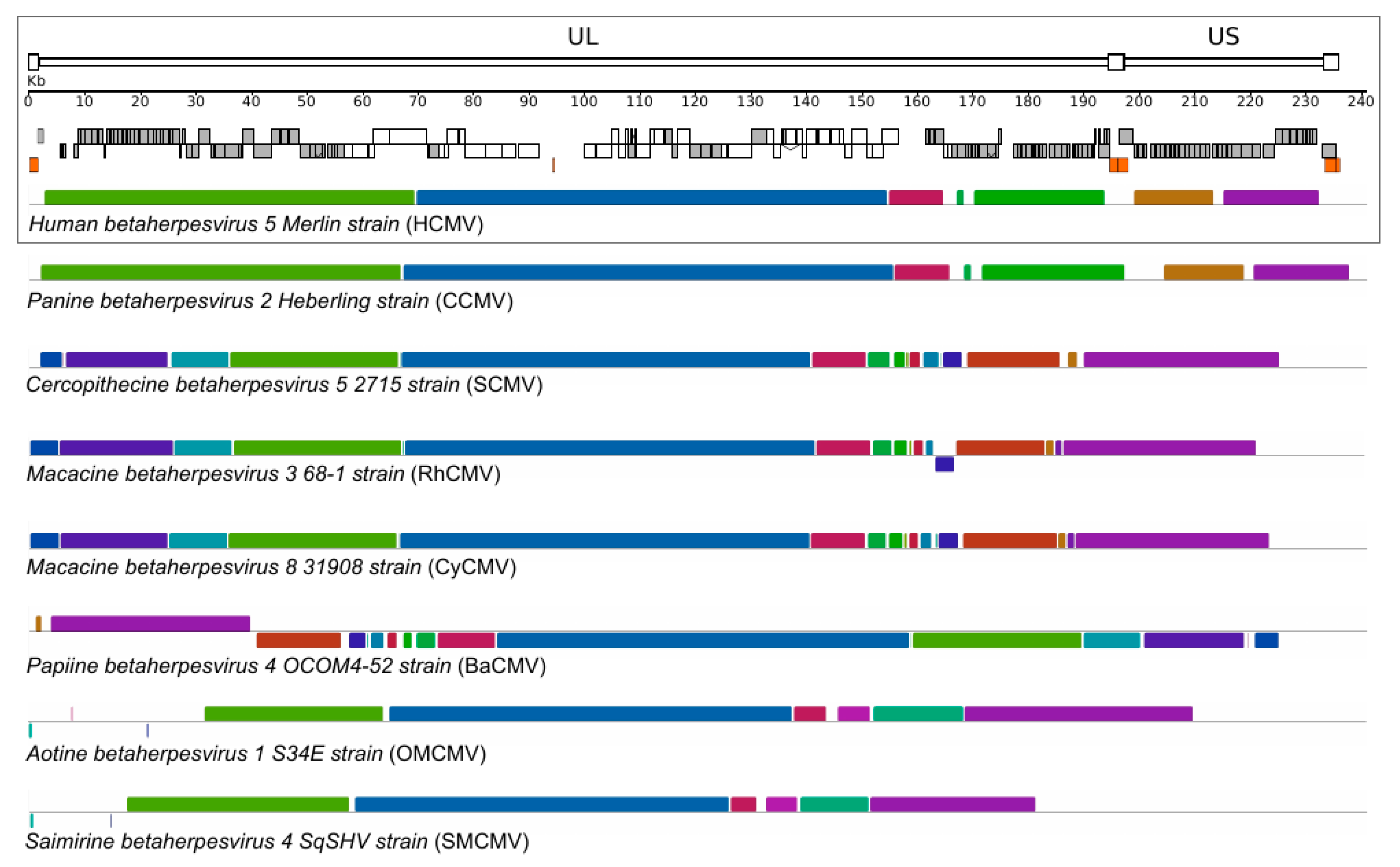 Microorganisms 08 00624 g001 Microorganisms 08 00624 g001
