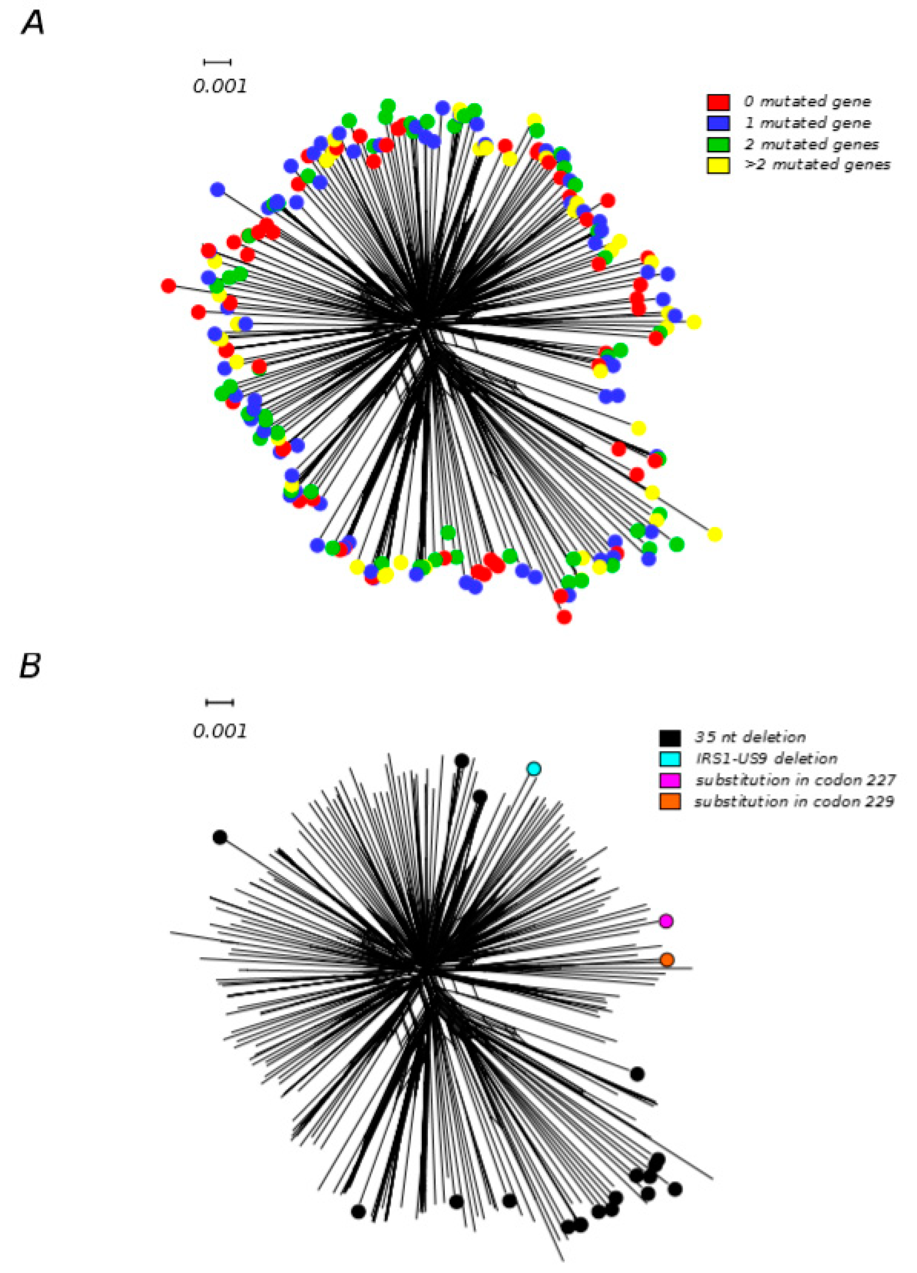 Microorganisms 08 00624 g003 Microorganisms 08 00624 g003
