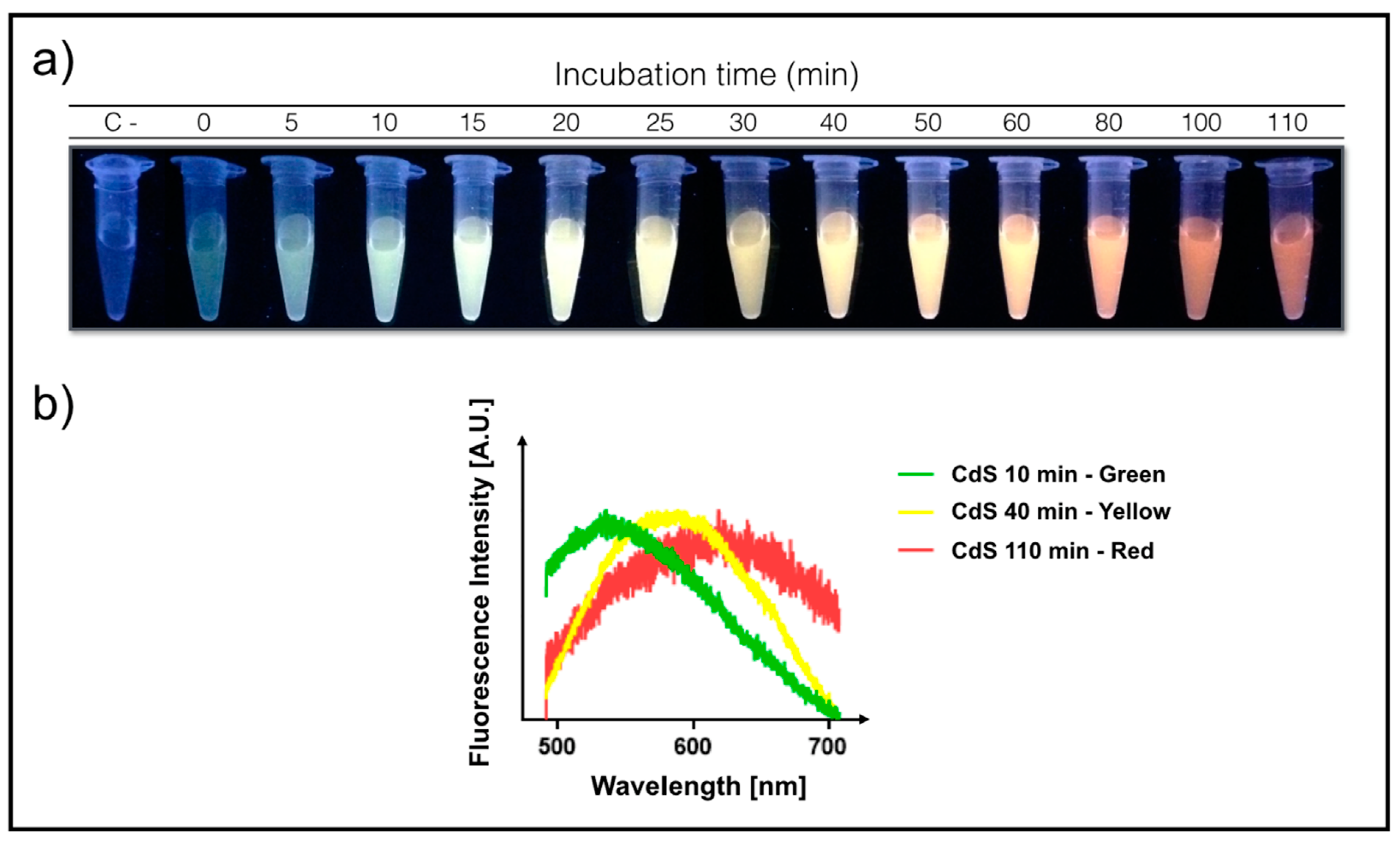 Microorganisms 08 00631 g001 Microorganisms 08 00631 g001