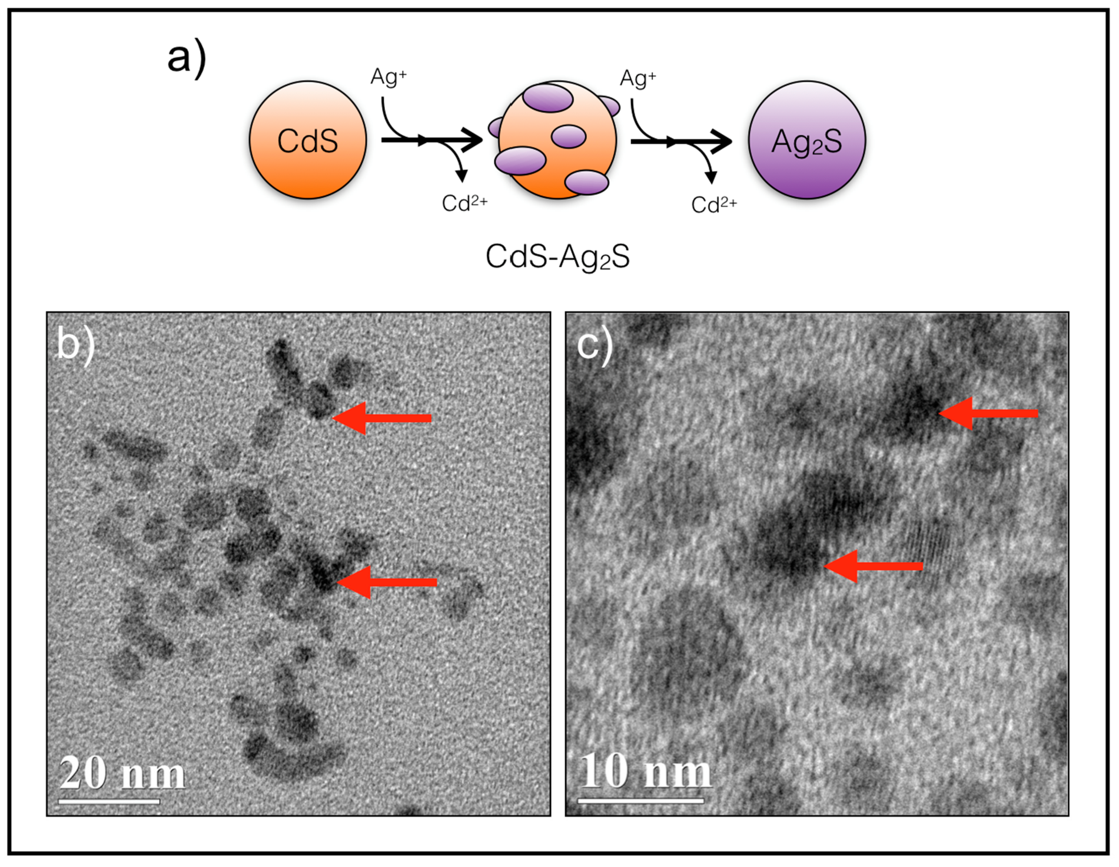 Microorganisms 08 00631 g005 Microorganisms 08 00631 g005