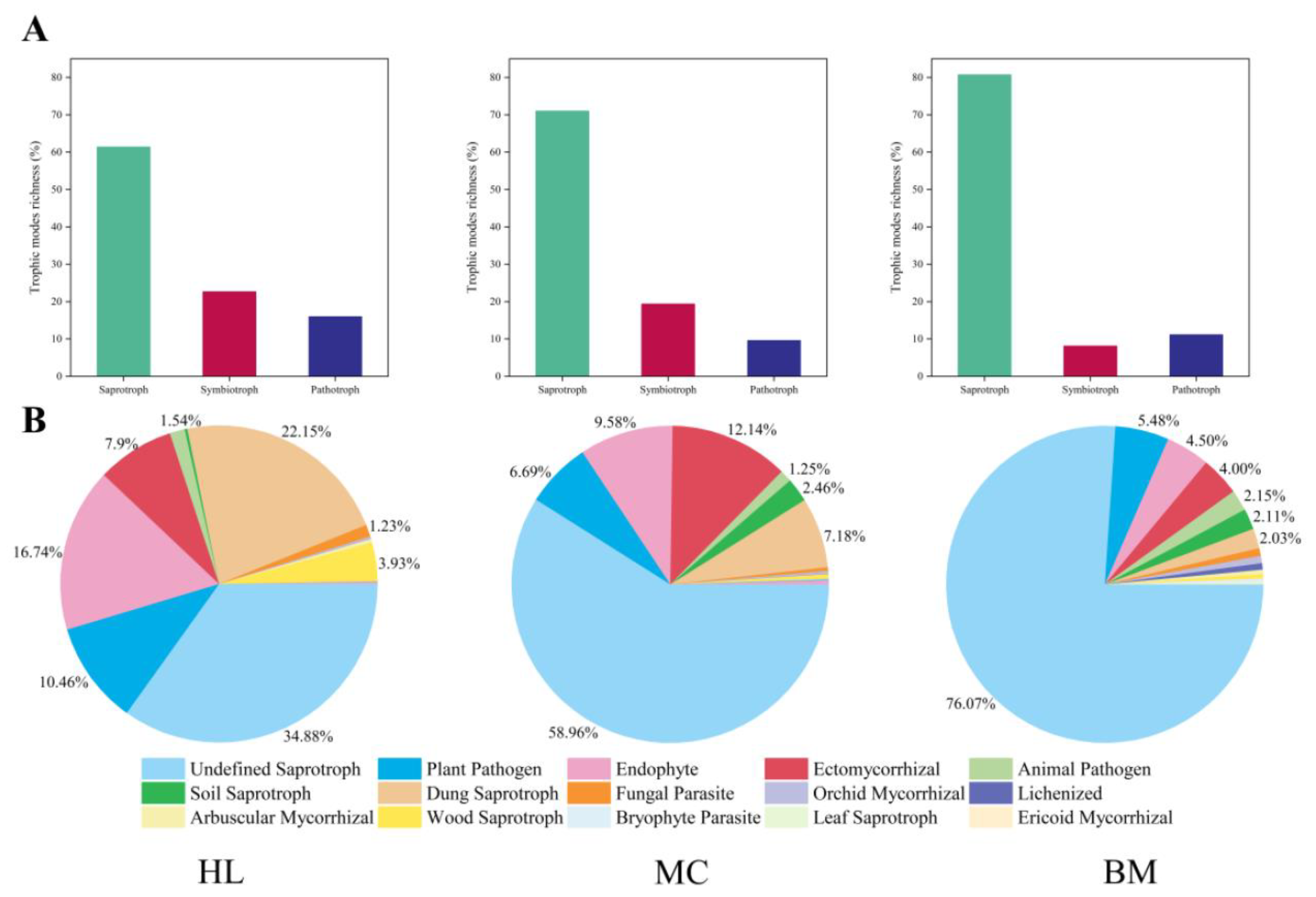 Microorganisms 08 00632 g003