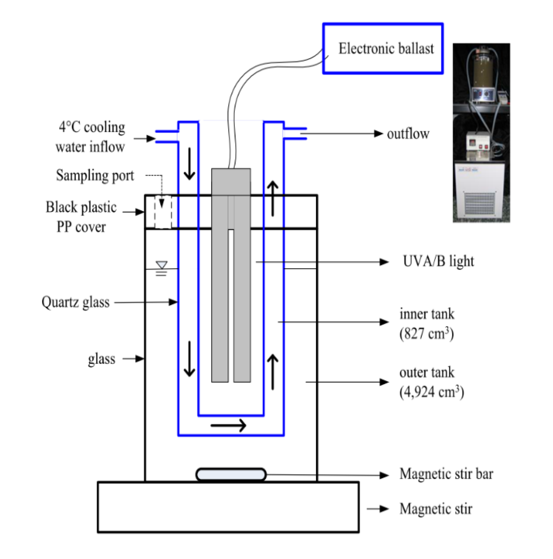 Microorganisms 08 00633 g001