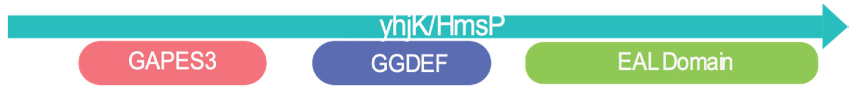 Microorganisms 08 00635 g002 Microorganisms 08 00635 g002